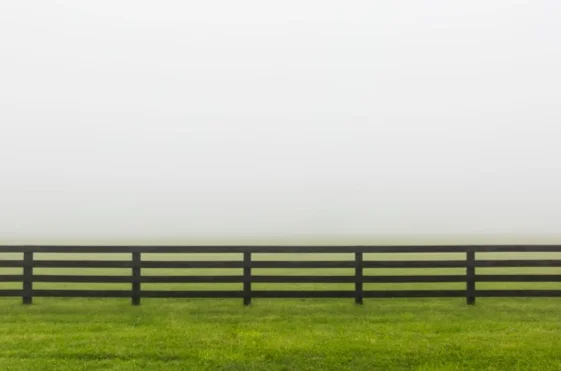 BILL TANSEY Fences digital pigment print, UV plexi glass 40 x 60 in. with a 4 in. white border 49 x 79 in. framed edition of 12