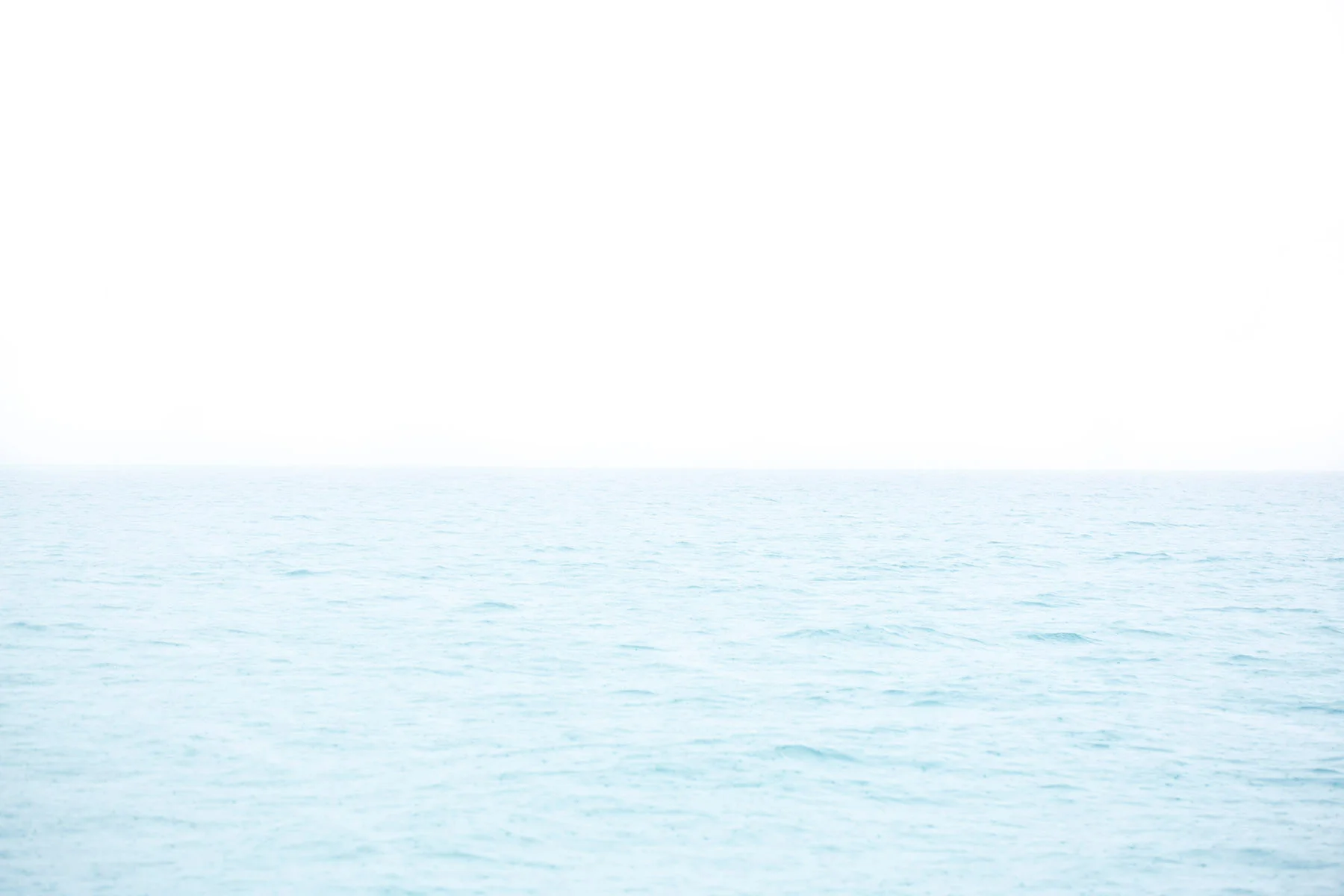 Chris Leidy White Horizon , 2015 pigment print on matte paper 42 x 78 in. 