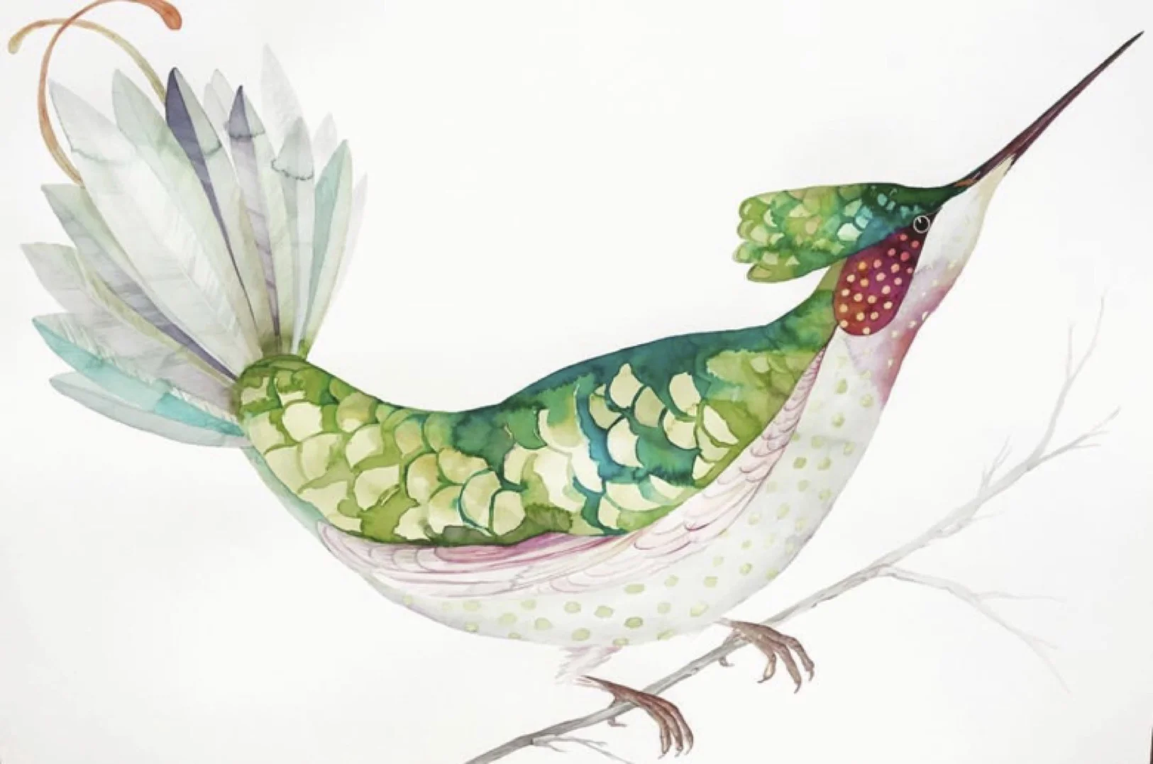 IDOLINE DUKE Hummingbird , 2019 watercolor on paper 30 x 41 in.