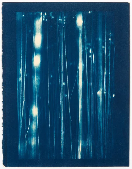 LAURIE LAMBRECHT Blue Light, 2014 cyanotype on rag paper 16 1/2 x 12 1/4 in
