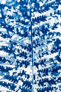 LAURIE LAMBRECHT Fern Blue, 2014 cyanotype on rag paper 16 1/2 x 12 1/4 in