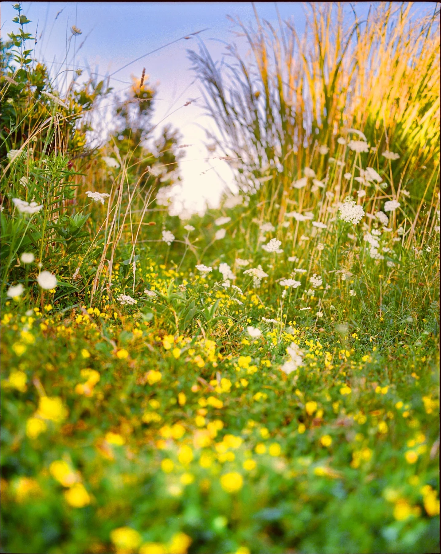 Andrew Blauschild Favorite Place on Earth, 2014 archival pigment print 34 1/4 x 24 in.