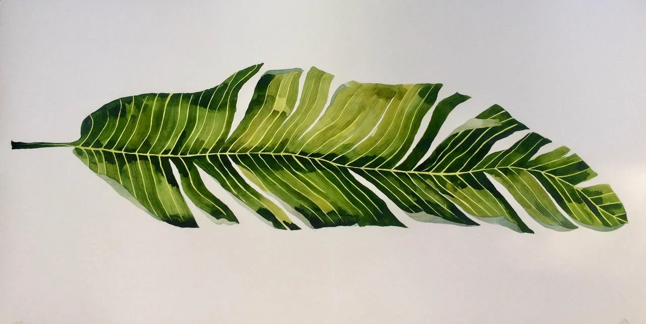 Idoline Duke Big Banana Leaf, 2019 watercolor on paper 26 x 50 in.