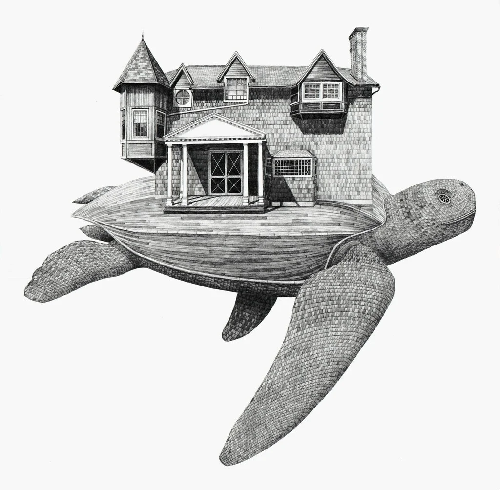 Scott Bluedorn Moran’s Turtle , 2017 archival digital giclee print on cotton rag paper 24 x 24 in.
