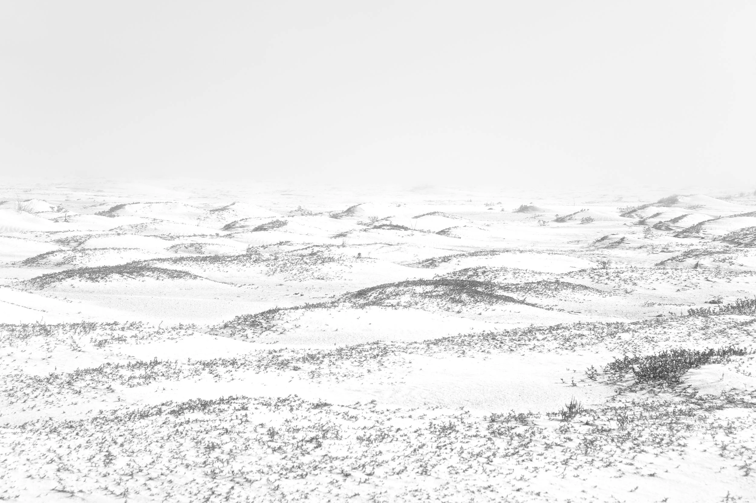 Anouk Masson Krantz Dune print on bright white matte pigment paper