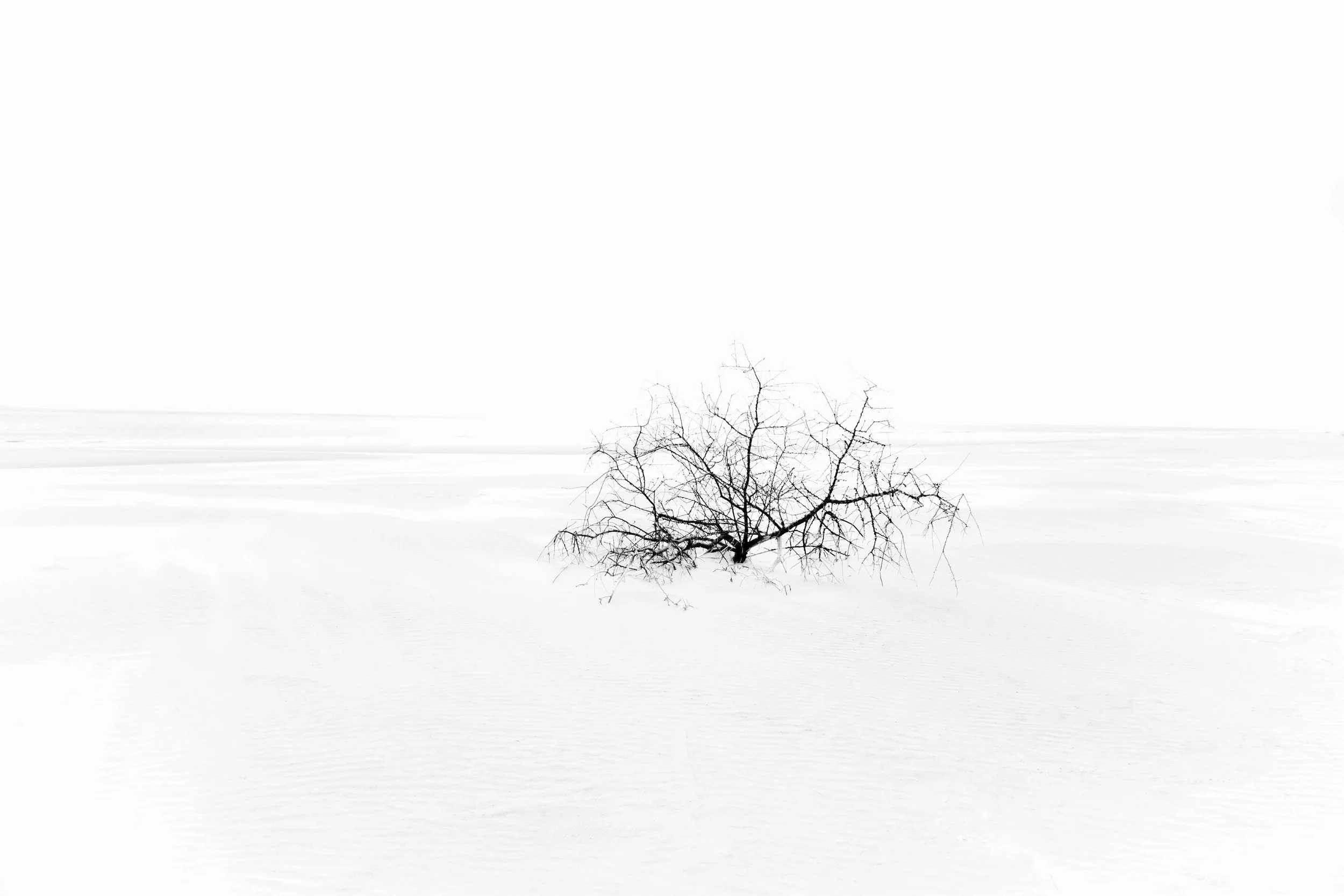 Anouk Masson Krantz Sandstorm print on bright white matte pigment paper