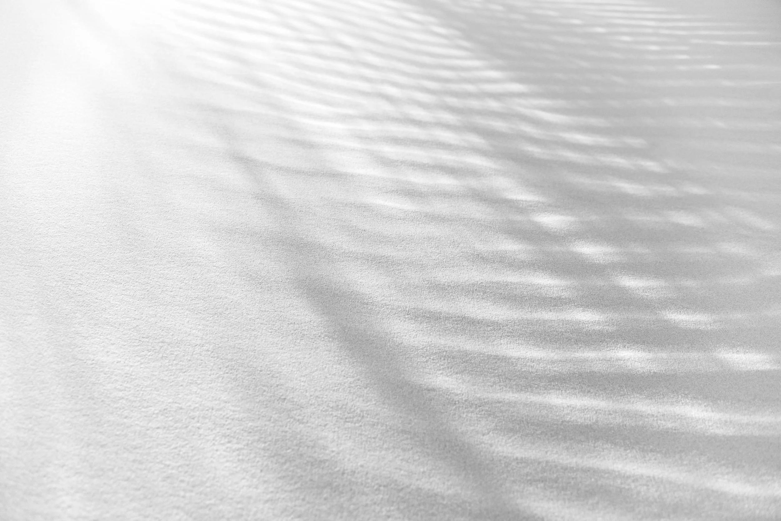 Anouk Masson Krantz Palm Shadow print on bright white matte pigment paper