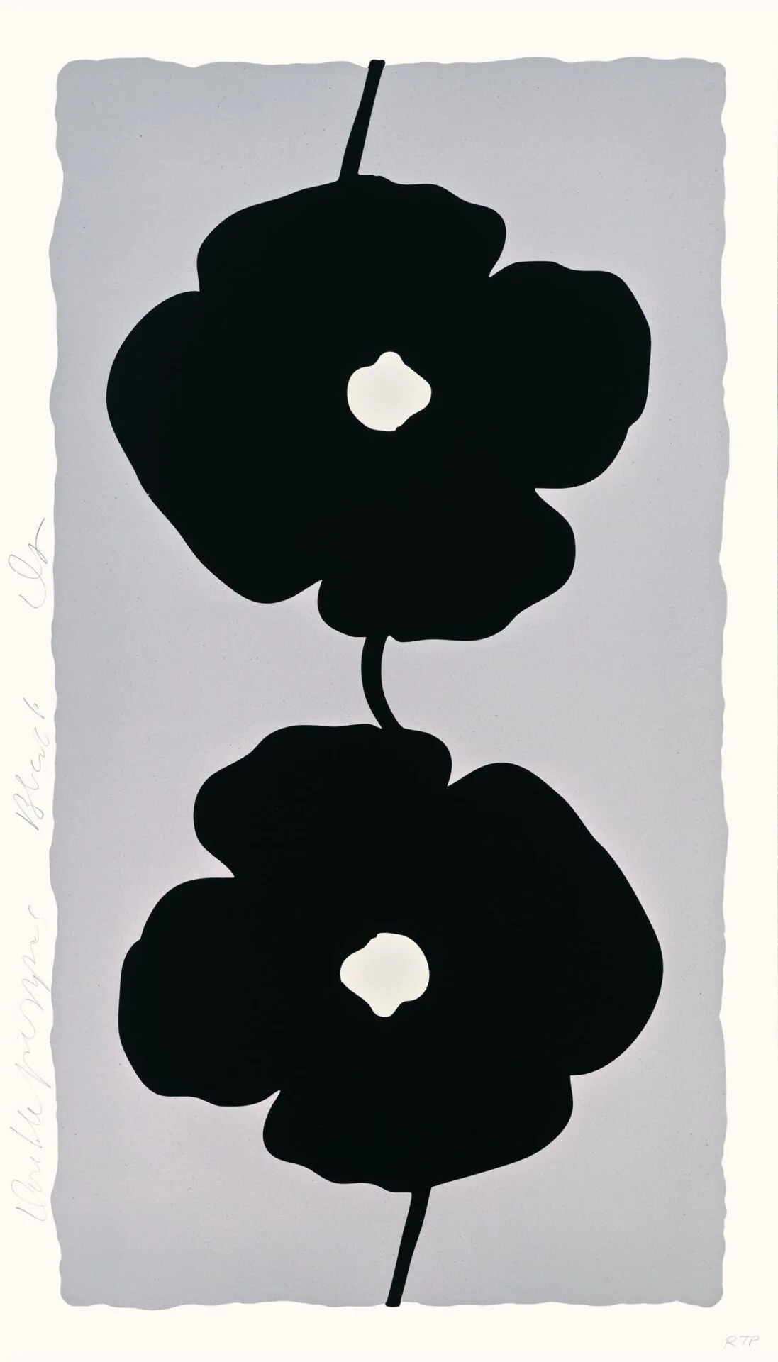 Donald Sultan Double Poppies Black Color silkscreen with enamel inks, flocking and sand on Rising 4-ply museum board 52 1/2 x 30 in. Edition of 25
