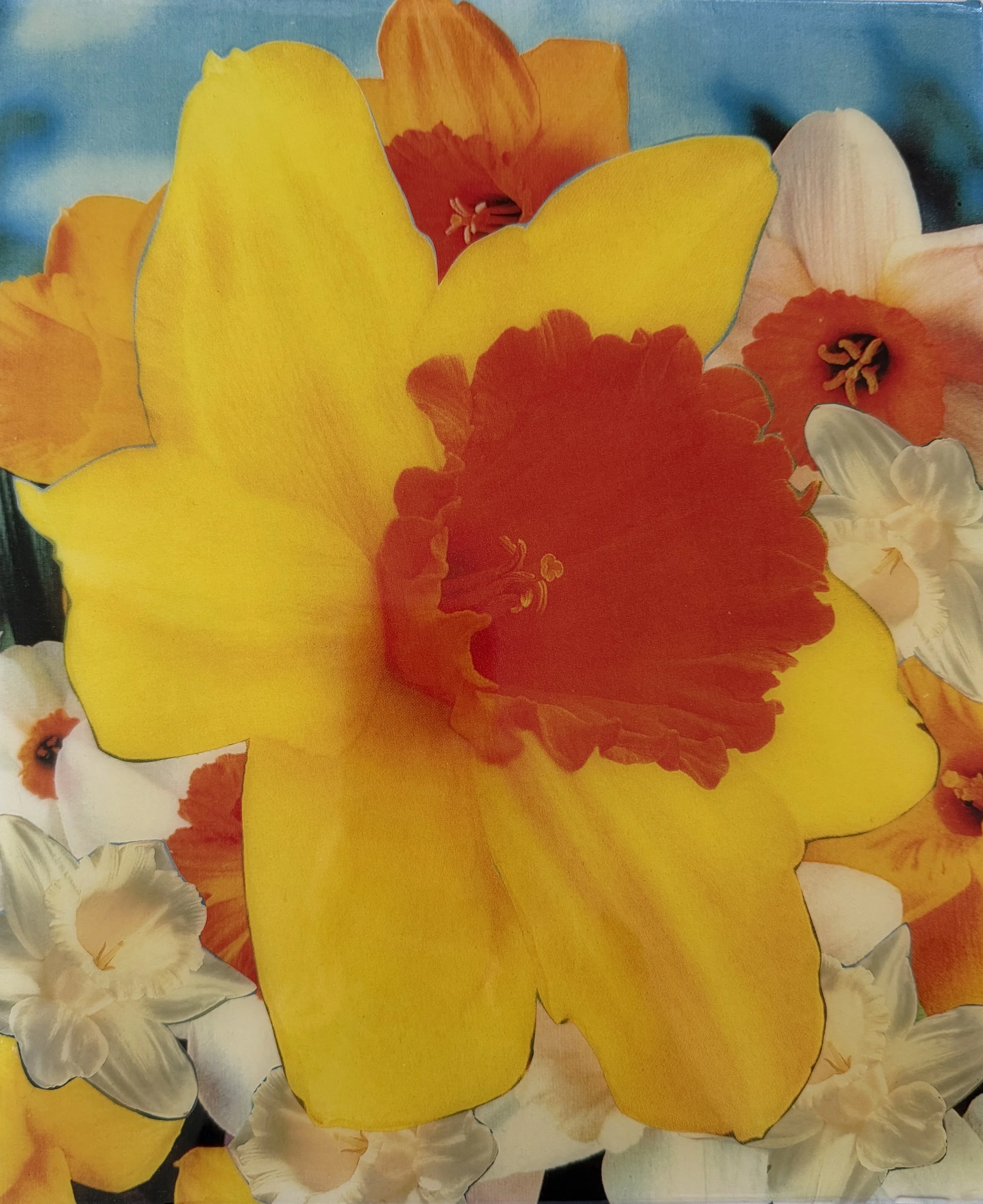  PETER DAYTON   Untitled (Daffodil) , 2002 Xerox collage on canvas with resin 12 x 10 x 3/4 in. 