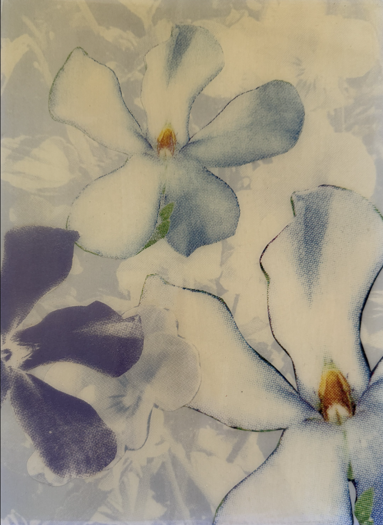  PETER DAYTON   Untitled  , 2005 Xerox collage on canvas with resin 11 x 9 x 1 in. 