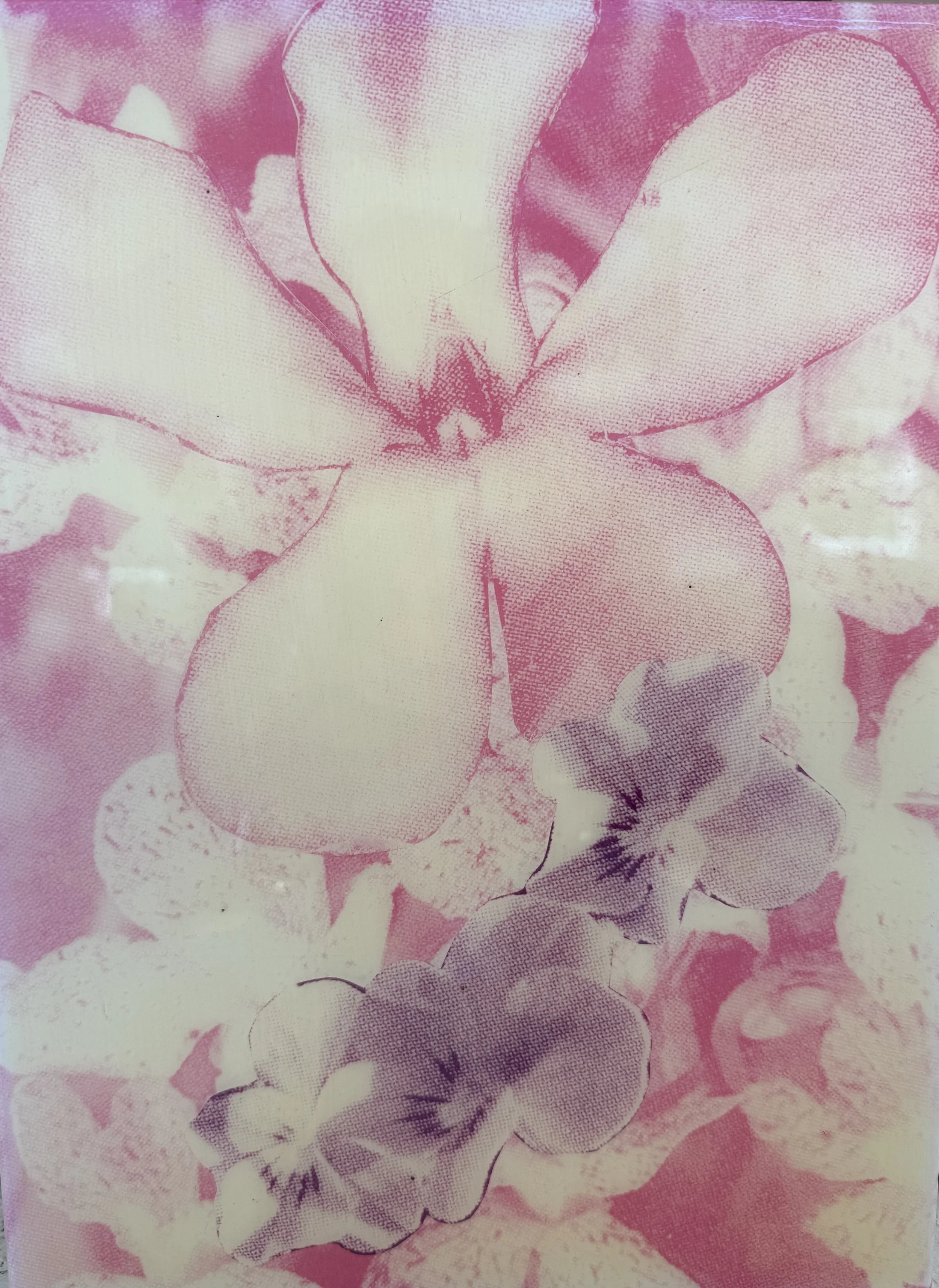   PETER DAYTON   Pink Flower , 2005 Xerox Collage 12 x 9 in. 