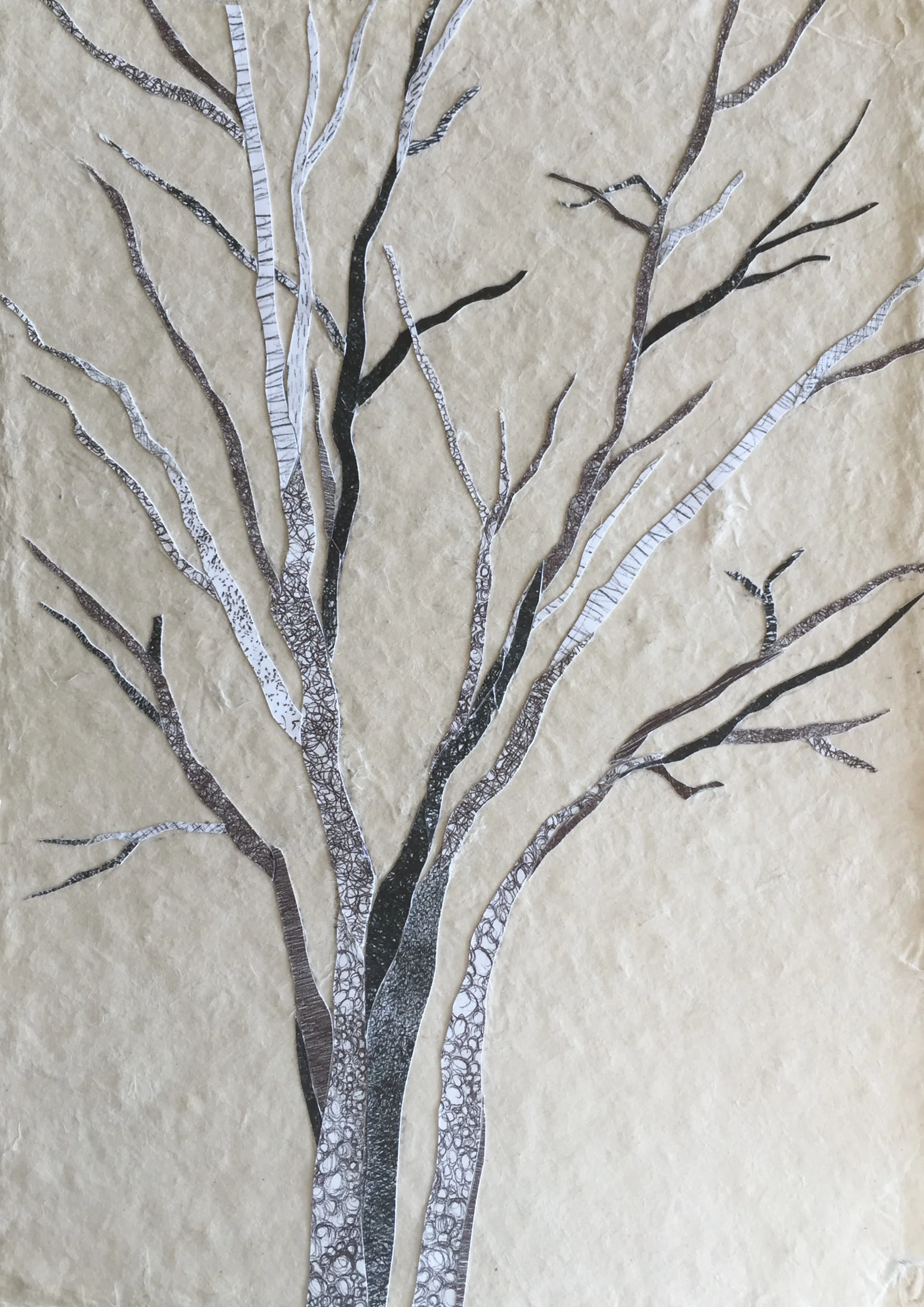 Maureen Gates. Tree Collage.jpg