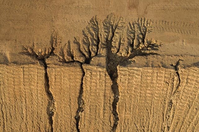 Construction Site, Buford, Georgia #dronephotography 
The branches shape is evident in nature at all size dimensions from the micro to macro.