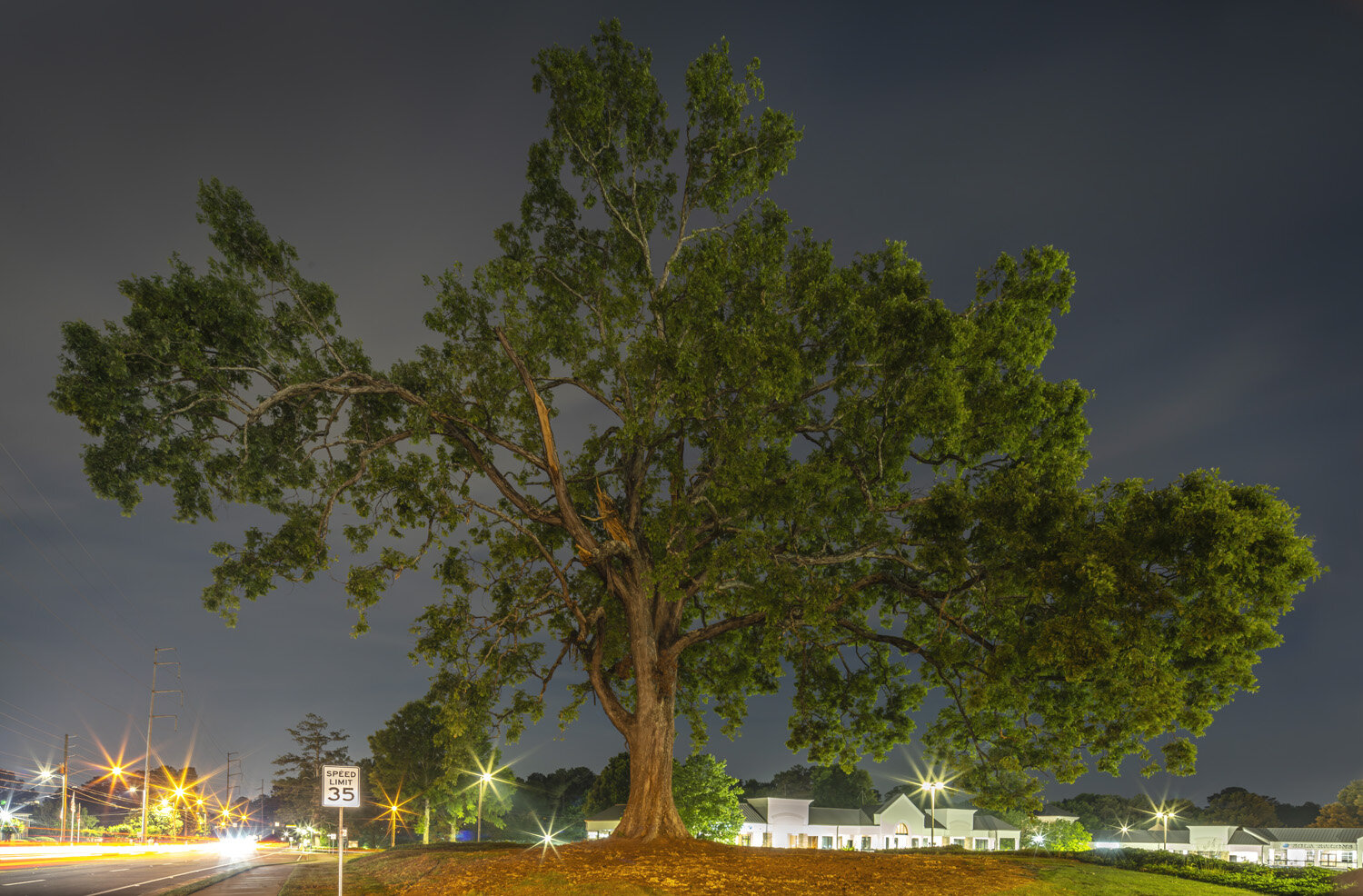 Post Oak #1, Atlanta, Georgia, 2021.jpg