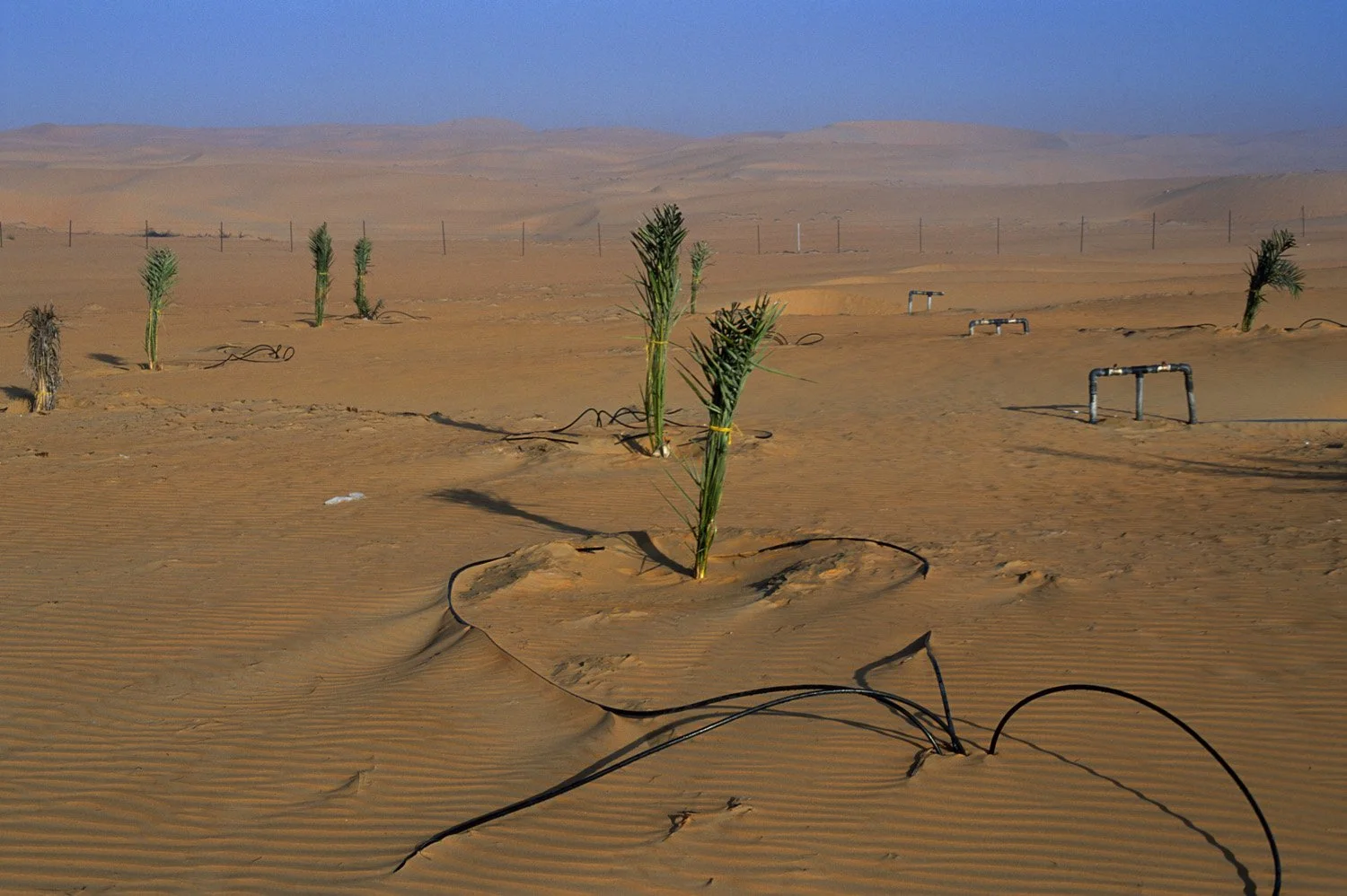 UAE 05.jpg