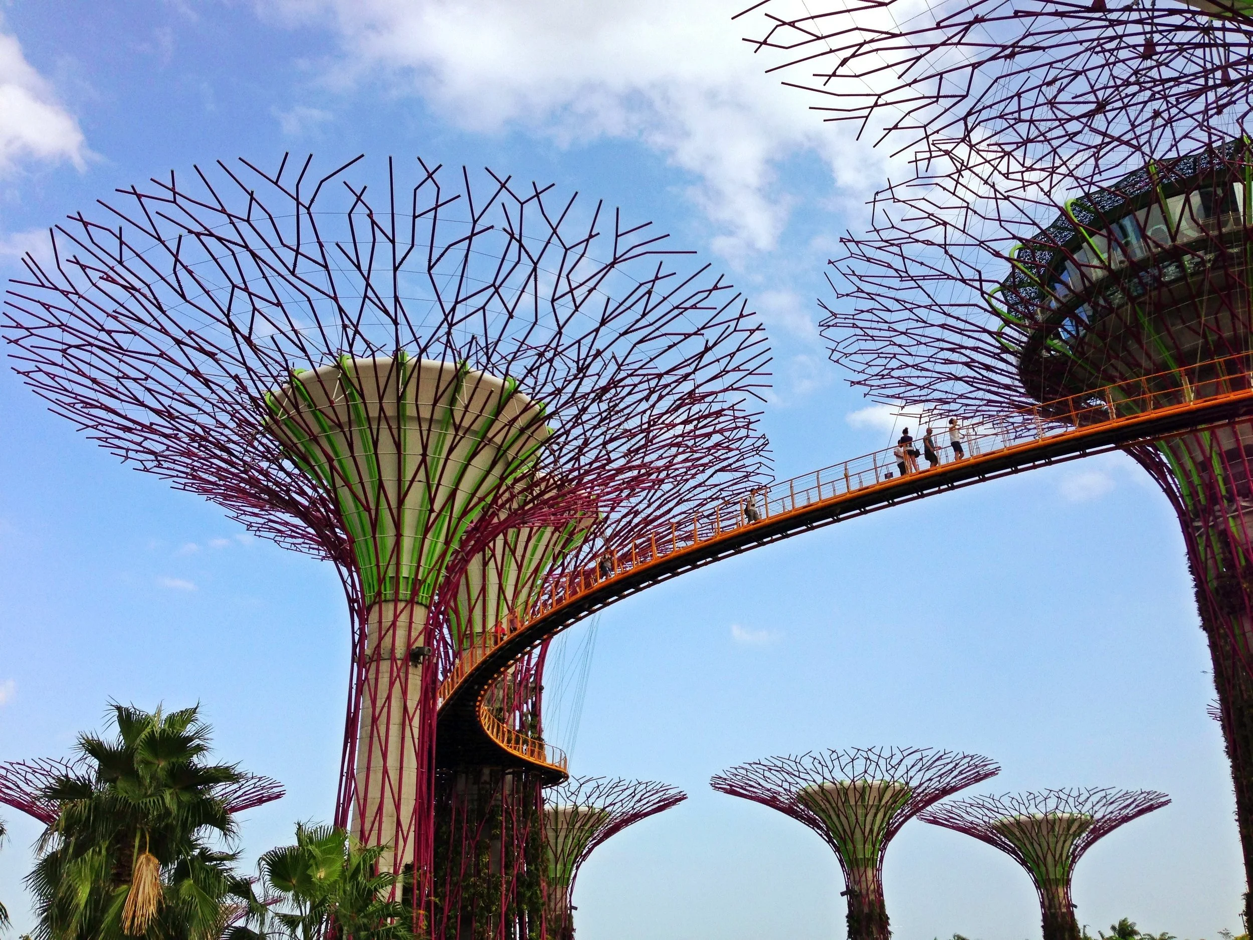 Singapore's "Supertrees"
