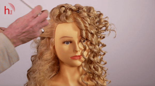 Really curly 4.gif