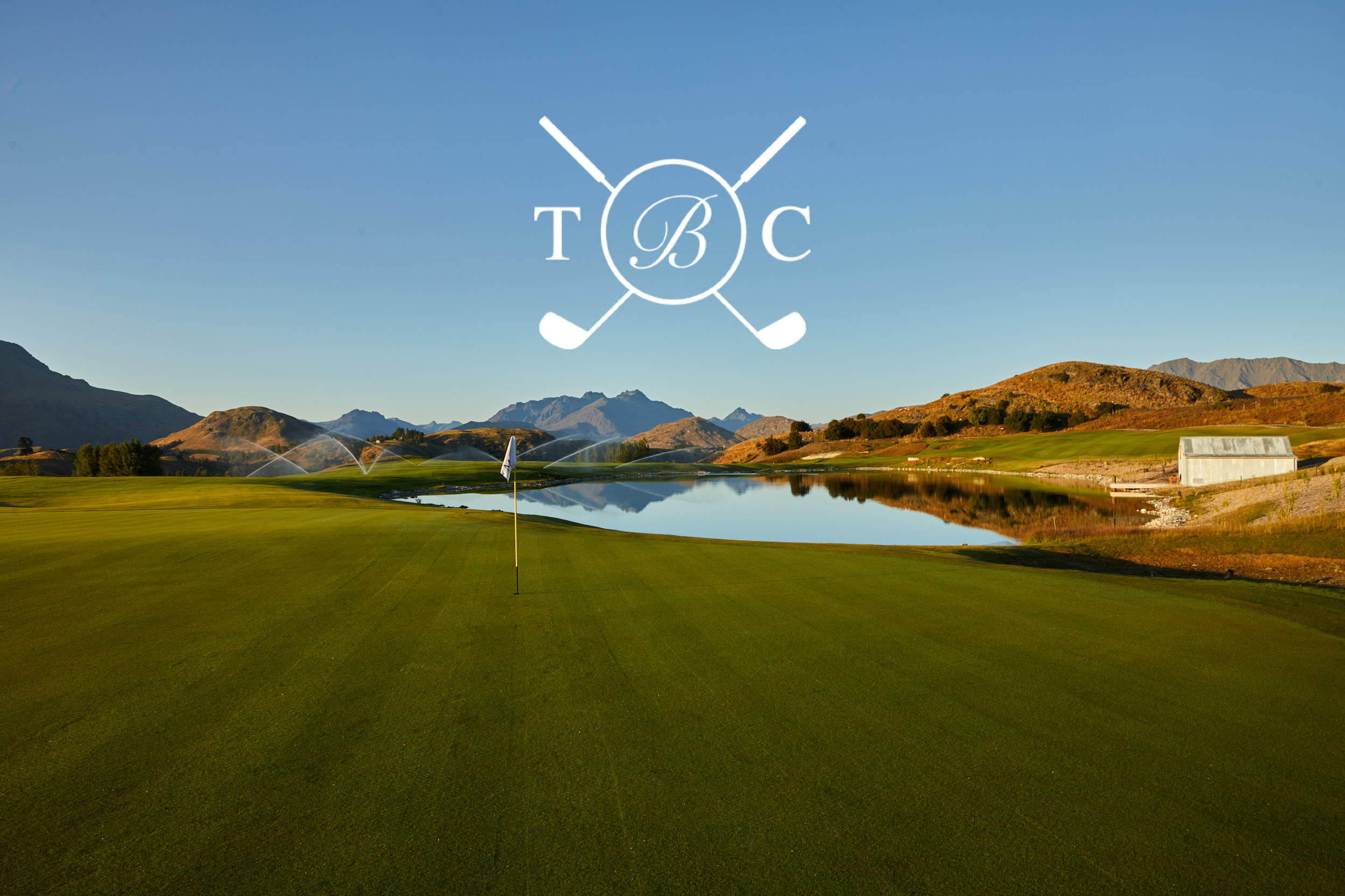 The birdies cup Header with Logo2.png