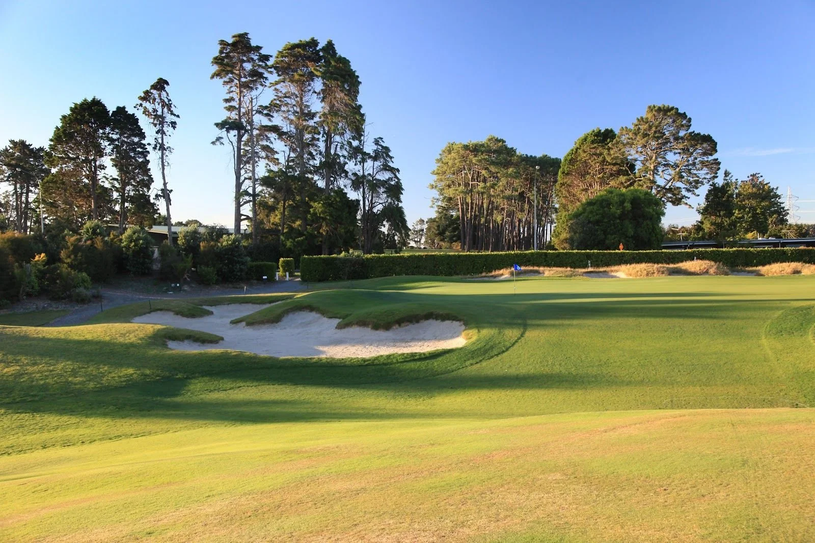Titrangi Golf Club From the Fairway.jpg
