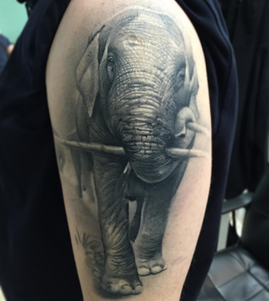 ELEPHANT