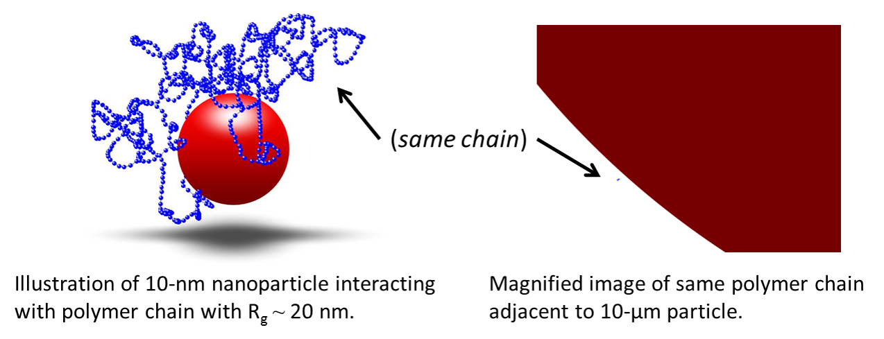 In the field of polymer nanocomposites, there is a great deal of interest in nanoparticles because they can directly interact and influence the behavior of individual polymer chains. The ease of mobility of a polymer chain greatly influences its bulk properties. Generally, we are forced to change the entire structure of the polymer in order to modify something like its use temperature or mechanical properties. Using nanoparticles, we can completely change the behavior of a conventional polymer that is easier to process or prepare that so-called "engineering plastics."