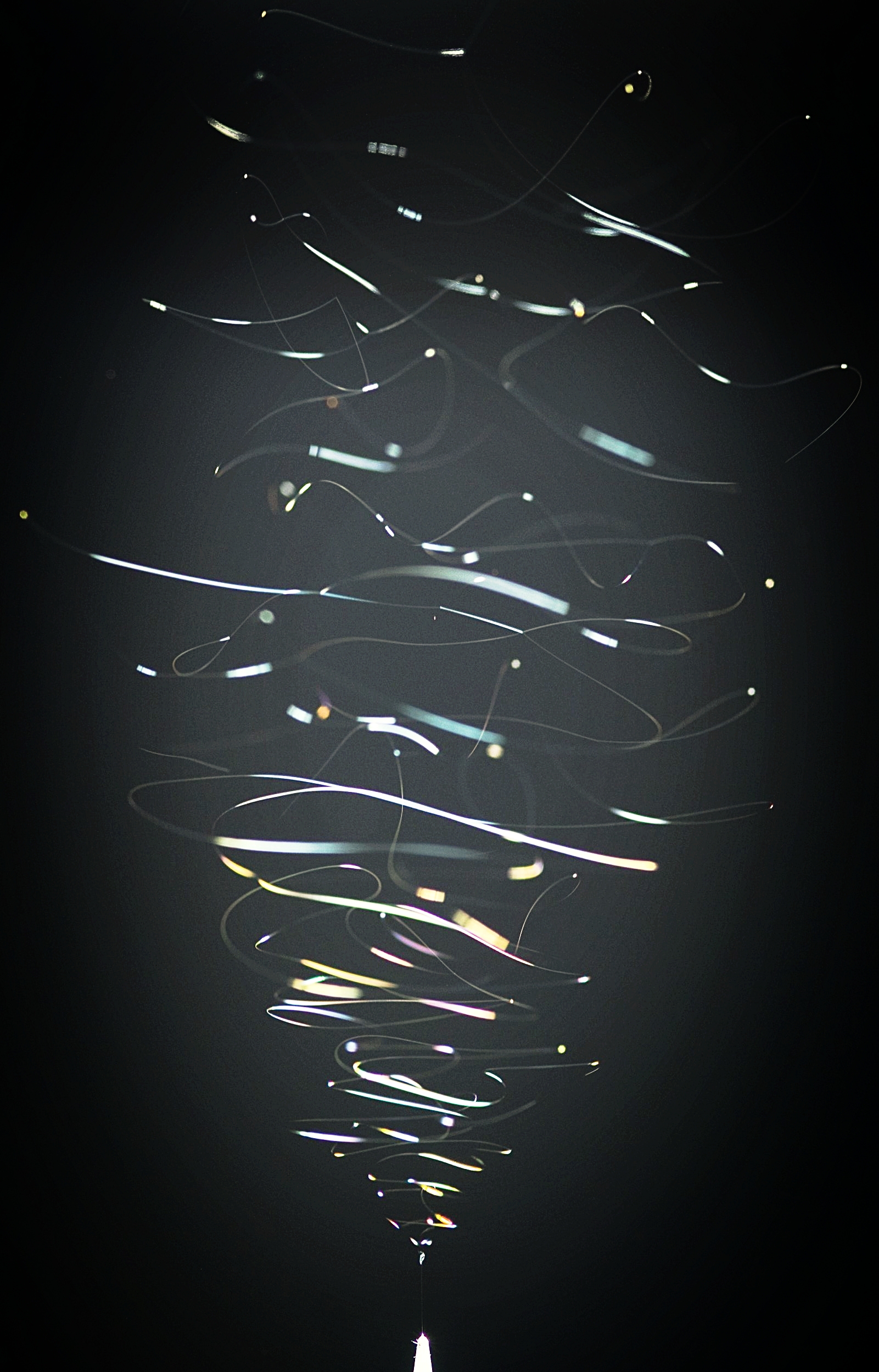 Electrospinning fibers ejected from a single needle. Credit: Robert Lamberts, Plant & Food Research, New Zealand.