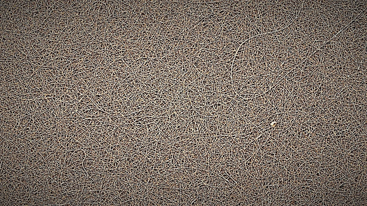 Stylized fiber.jpg