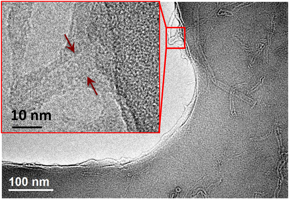 First observation of fracture of carbon nanotube in active fracture zone for epoxy composite. Carbon nanotubes were electrostatically tethered by ZrP nanoplatelets, resulting in a unique improvement in strength, stiffness, and fracture toughness of …