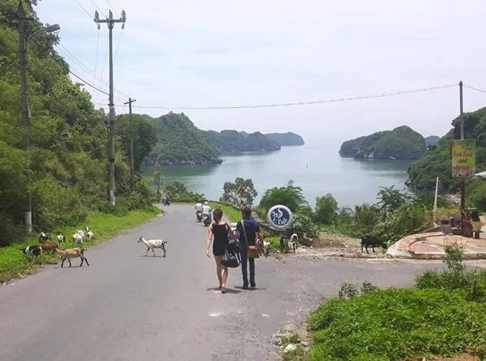 halong 4.jpg