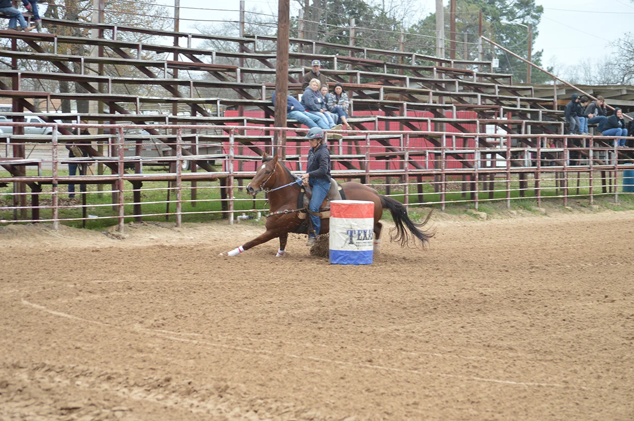 DSC_3691.jpg