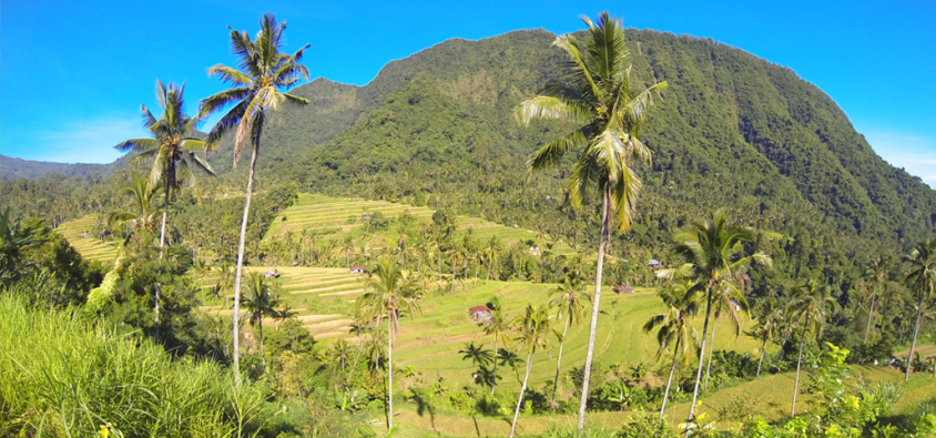 best-waterfalls-in-bali-is-sekumpul-waterfall.jpg