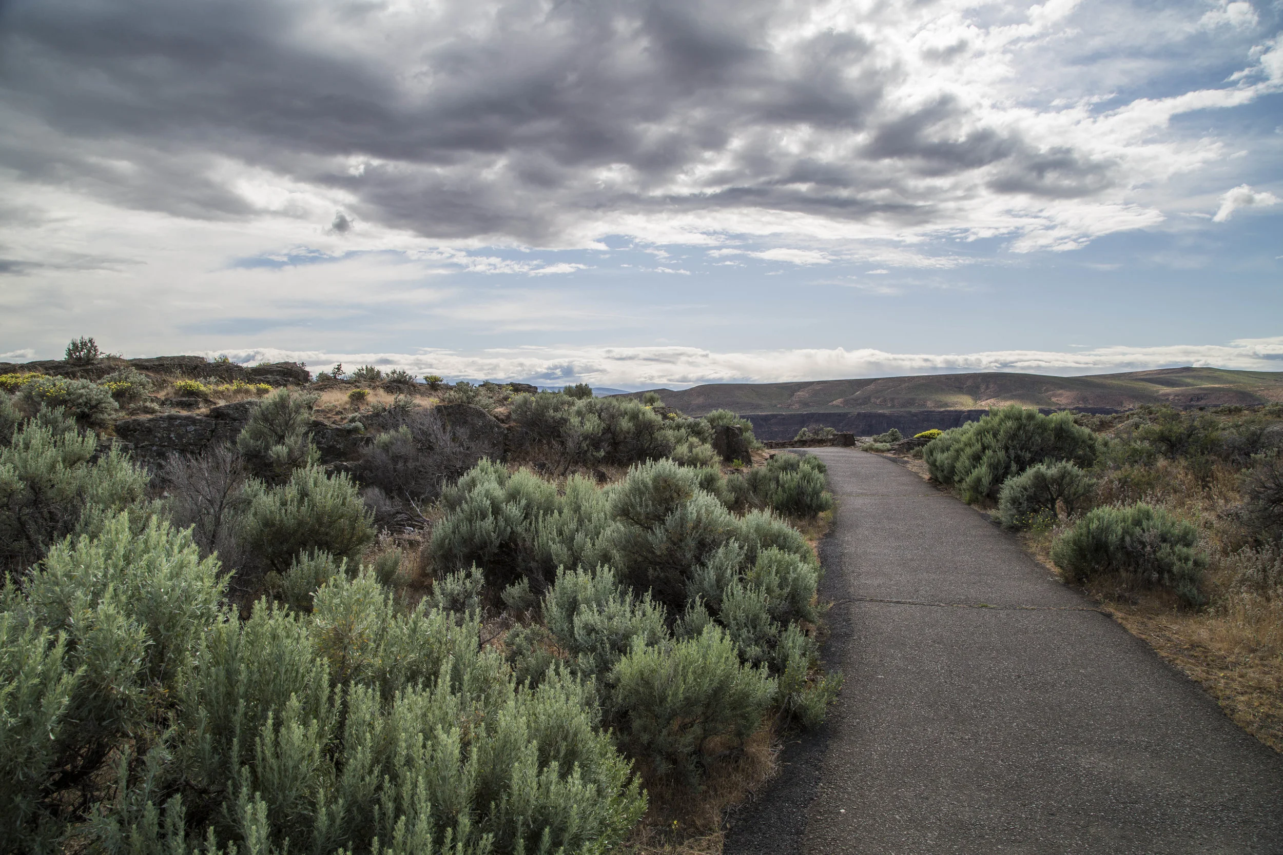Wash_State_Landscape.jpg