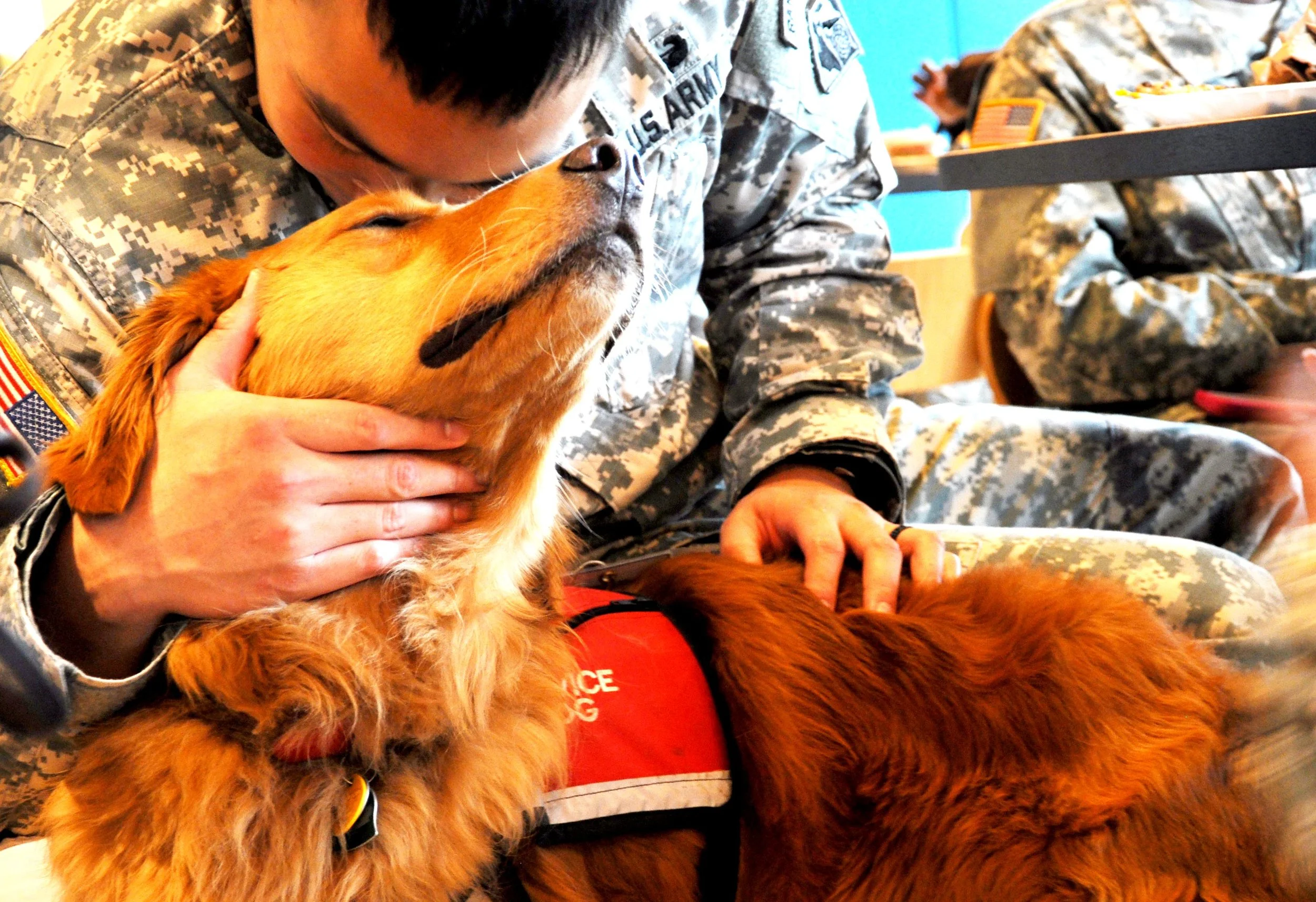 HERODOG_062813_1.jpg