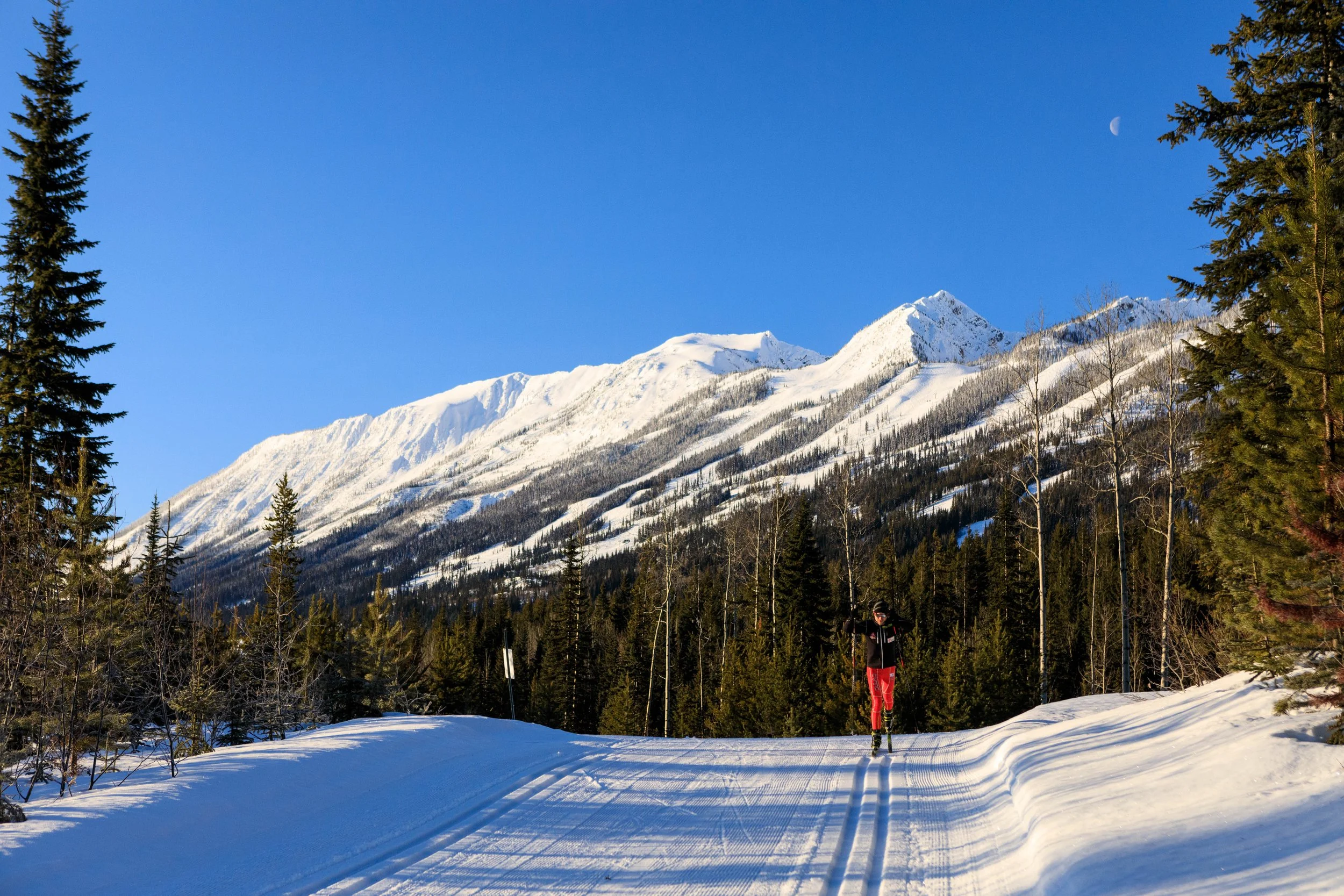 Nordic Ski Lesson