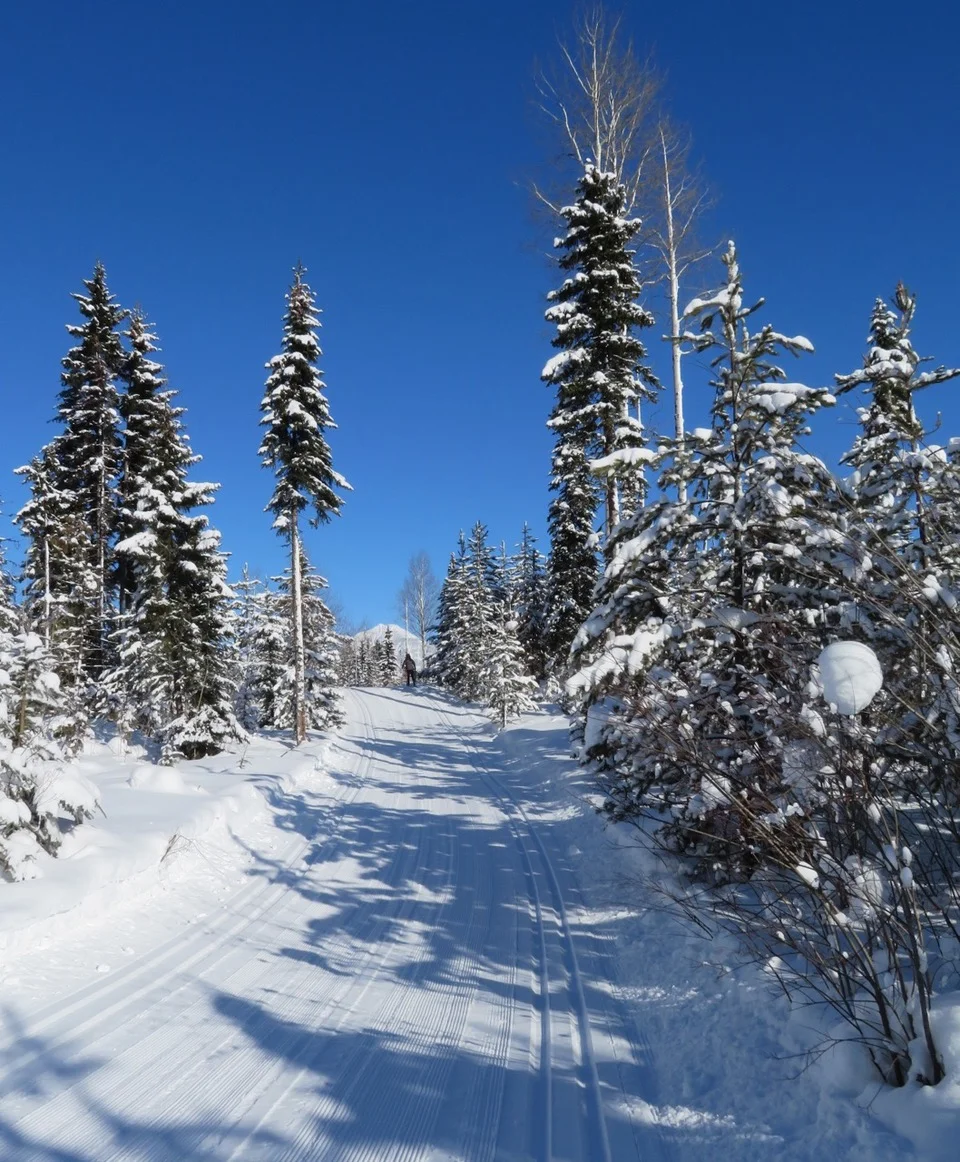 Spring Skiing & Rental Shop Hours