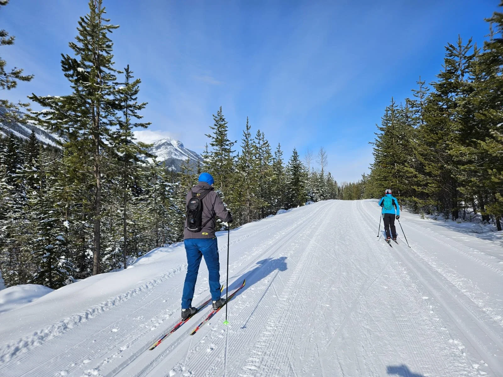 Day Pass (Ski trails)