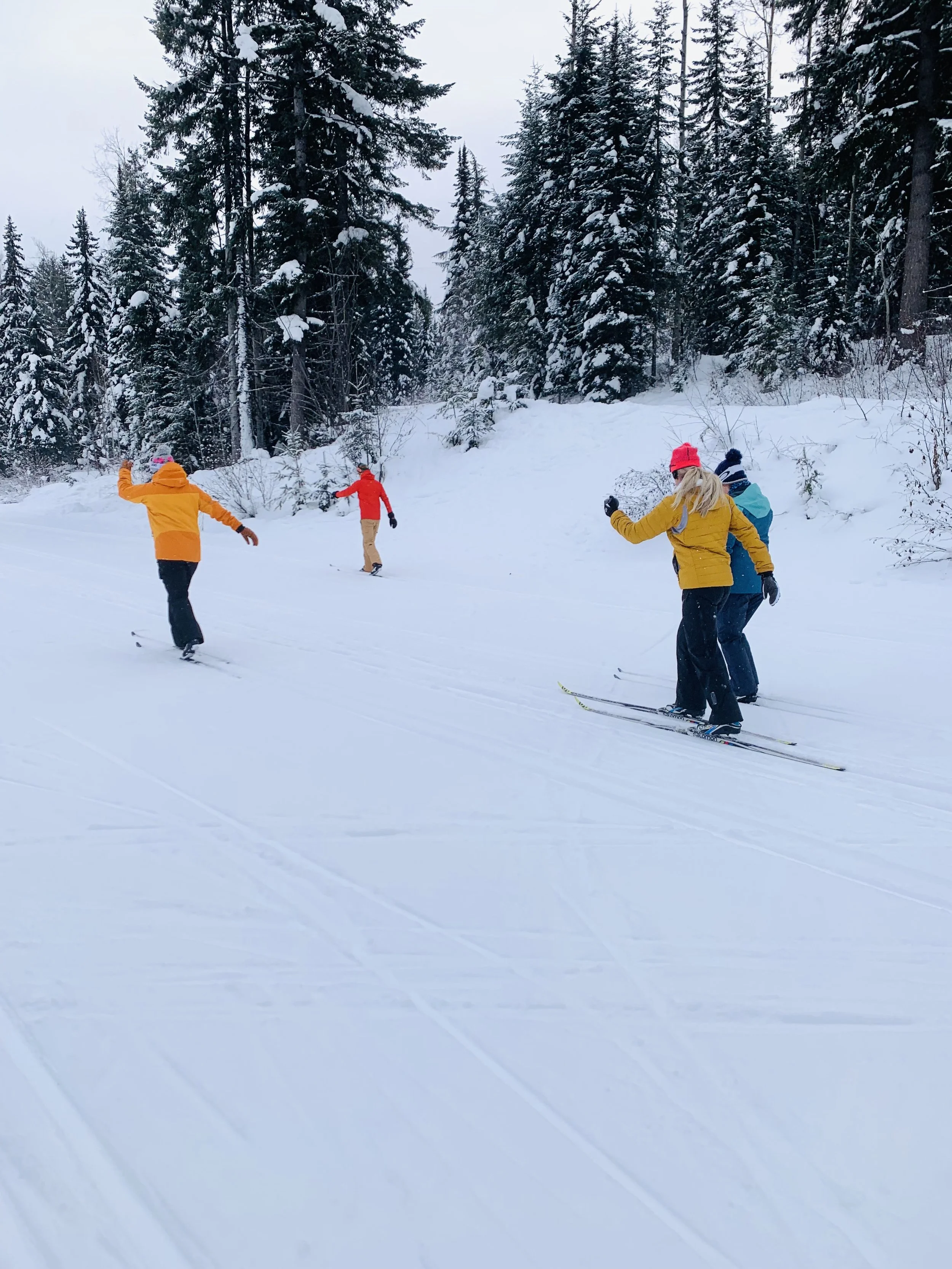 Nordic Ski Lesson