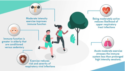 The Role of Exercise in Immune Function