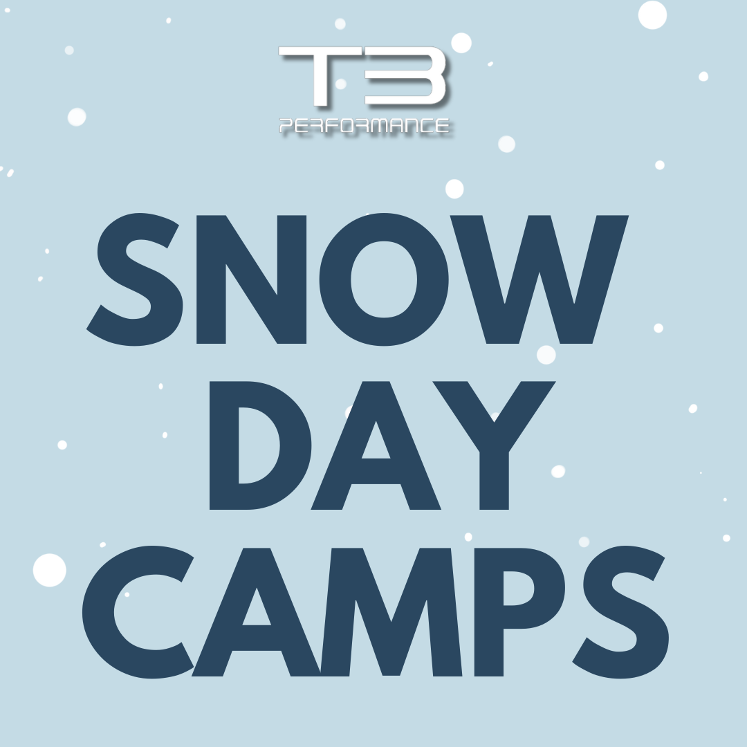 SNOW DAY BASEBALL CAMP