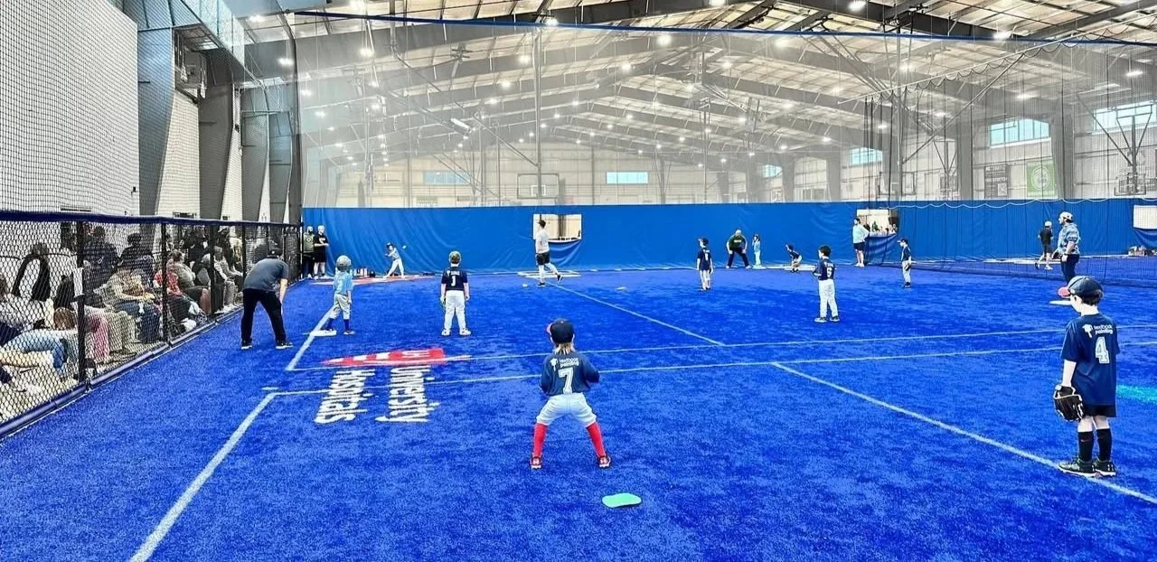 Sluggers Game Play