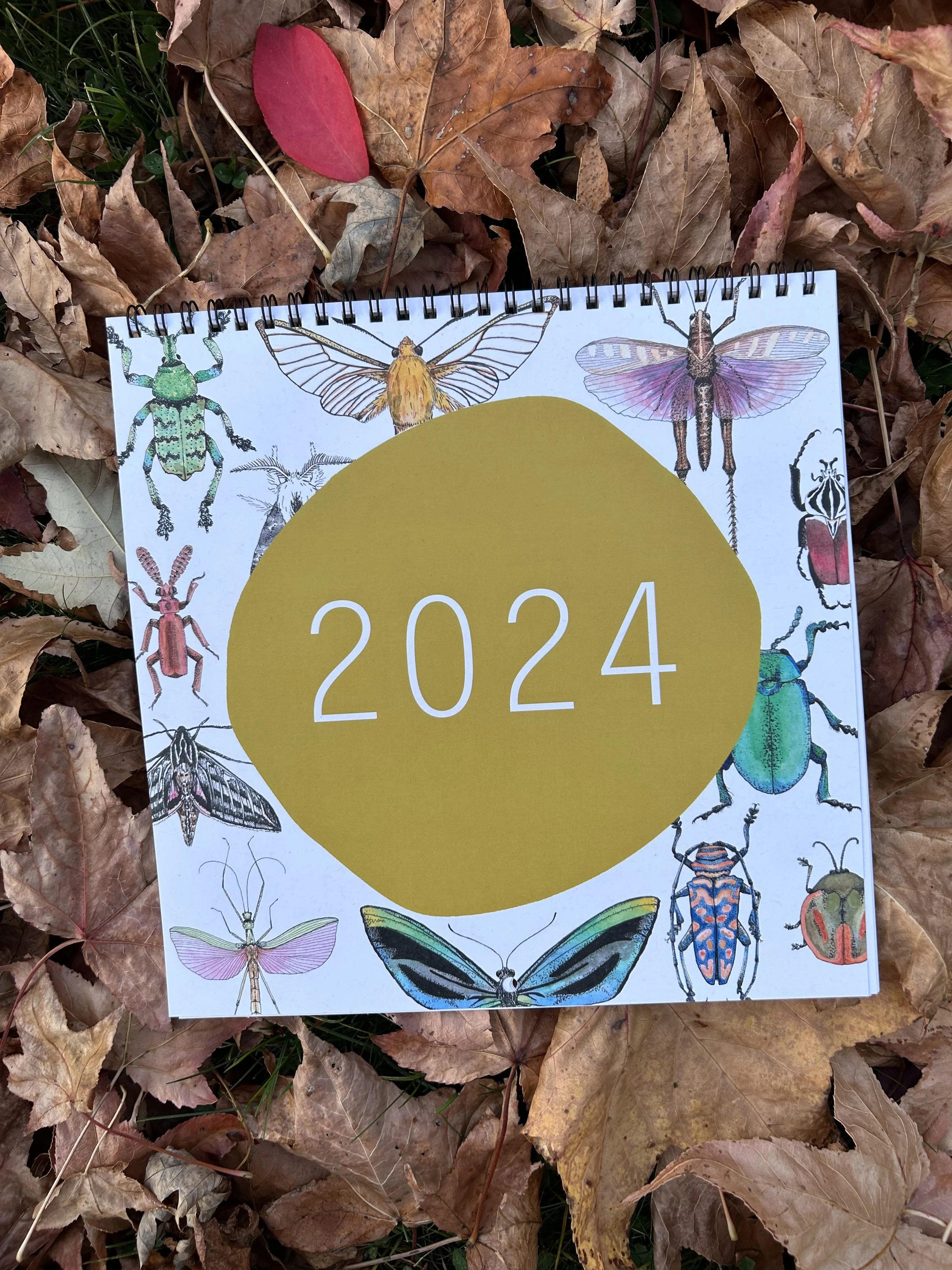 2024 Calendars