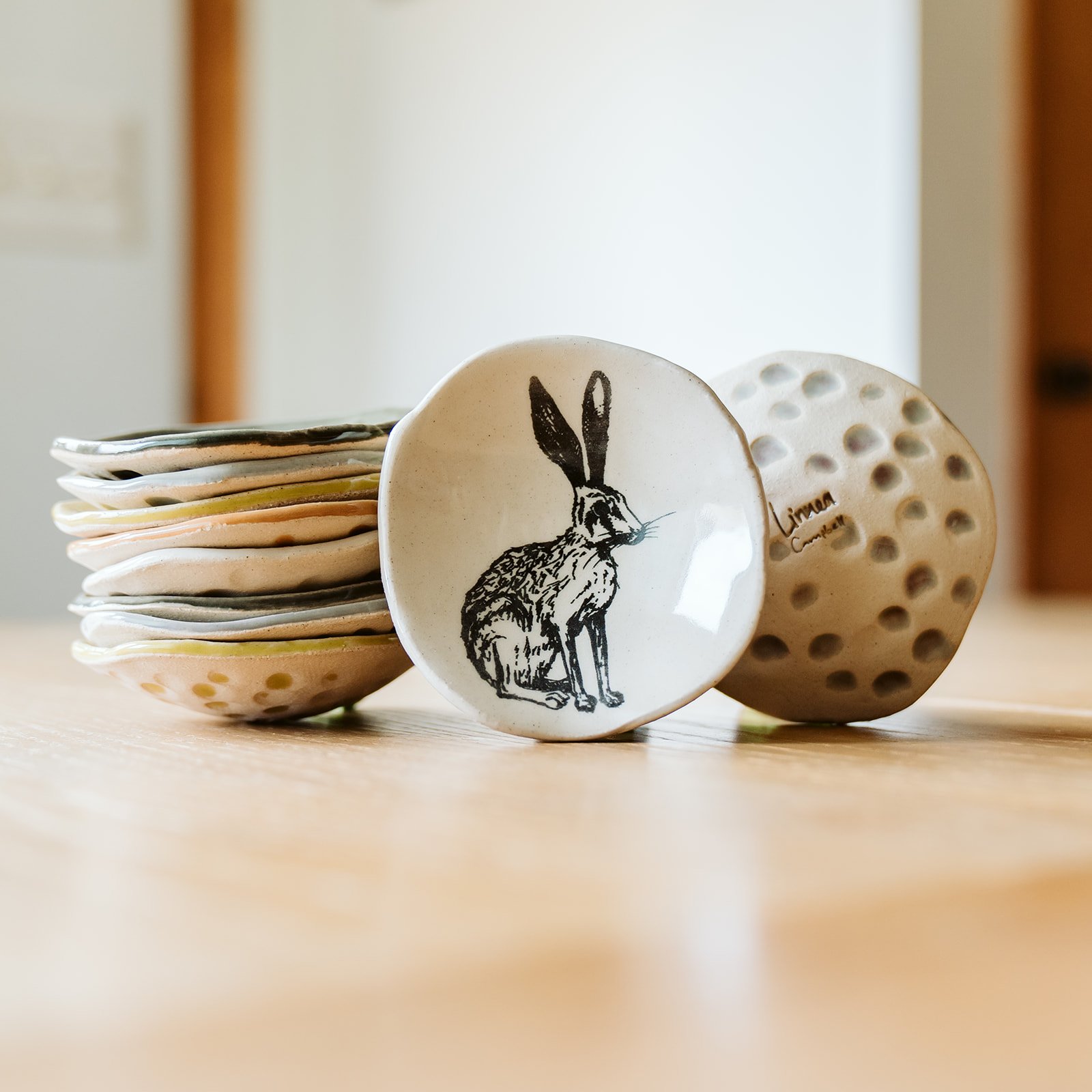 Desert Black-Tailed Jackrabbit 