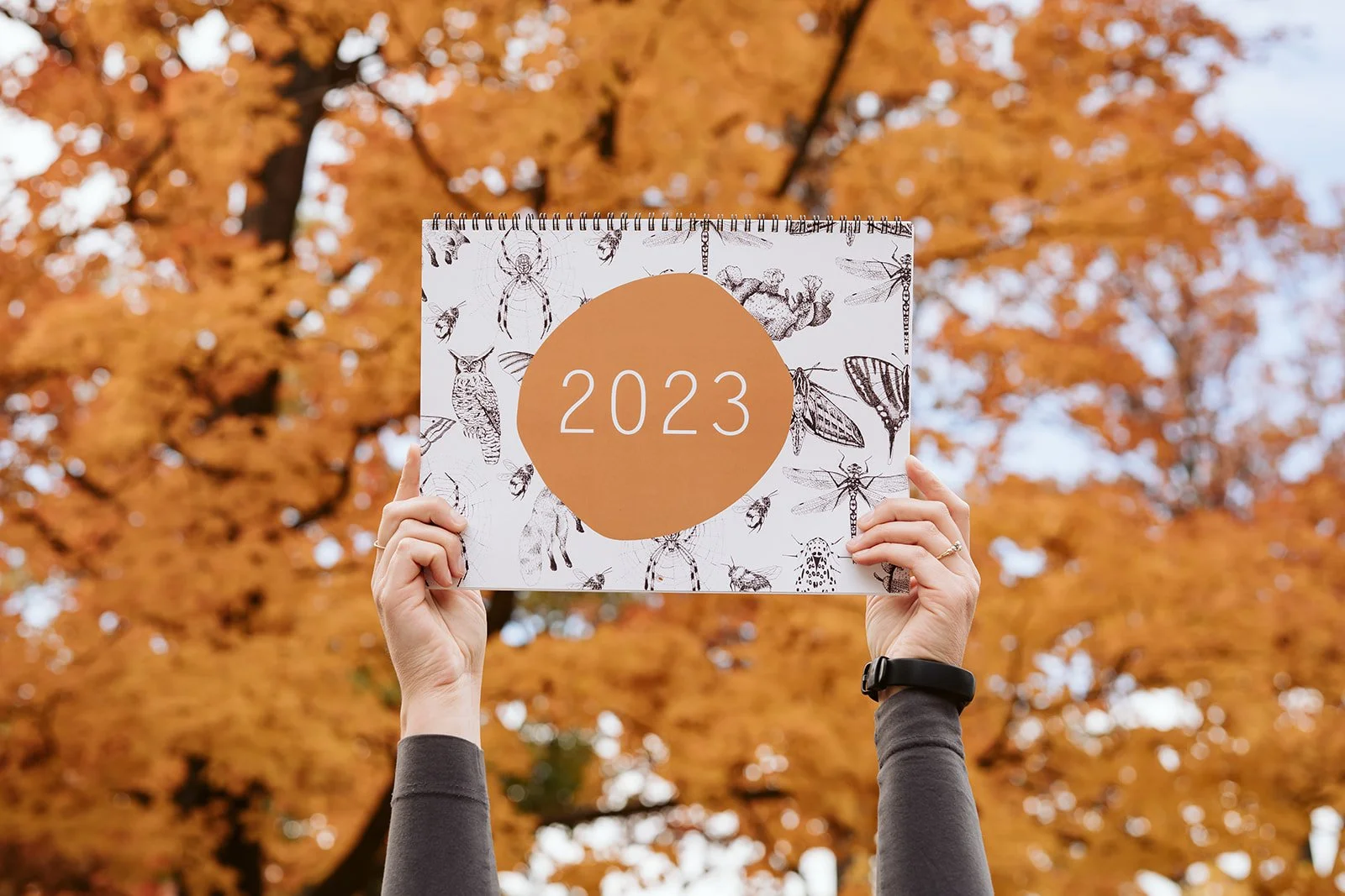 Morganne Calendars