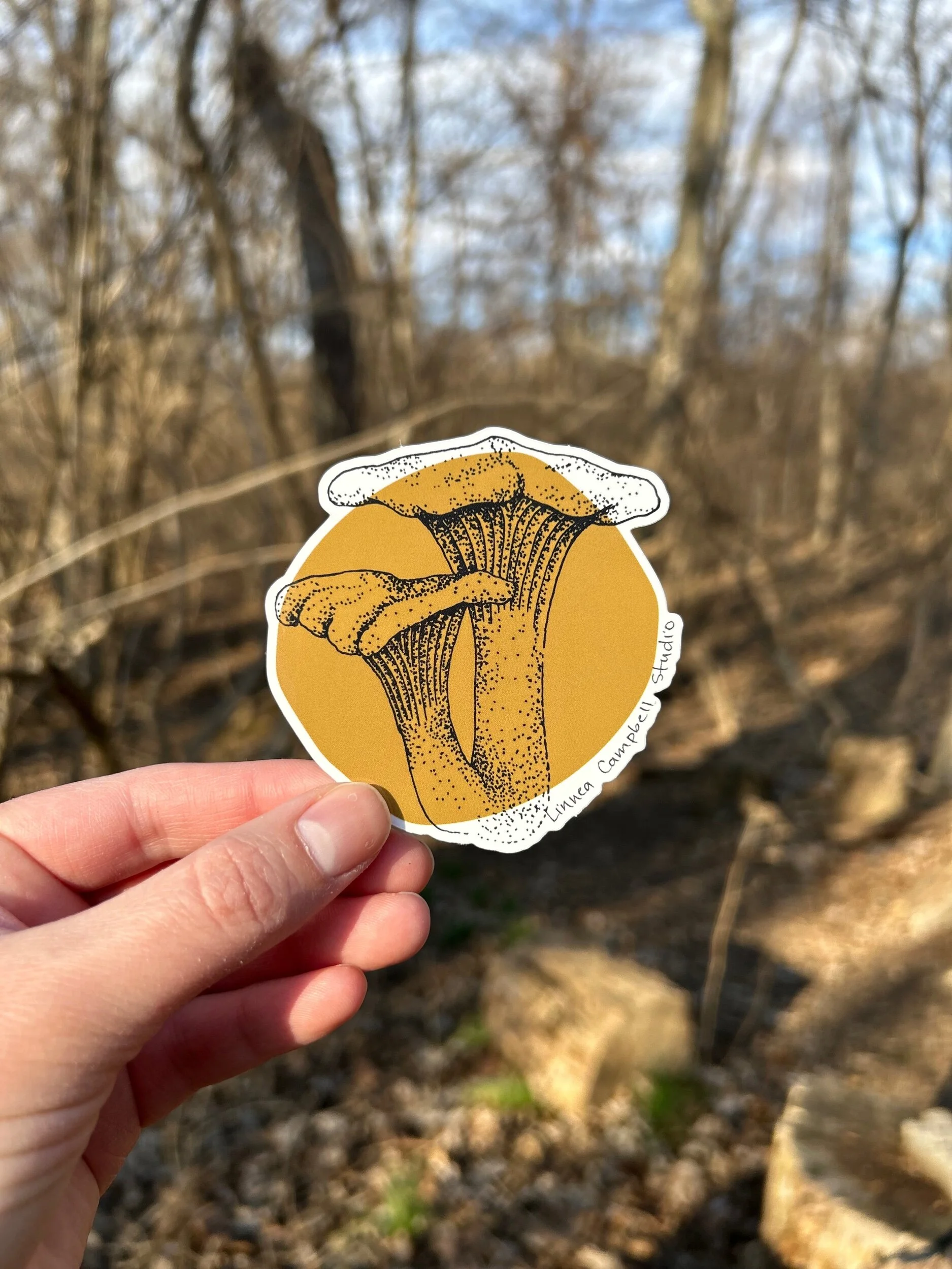 150B5EB0-574A-4AE2-8719-36E4A96C7054