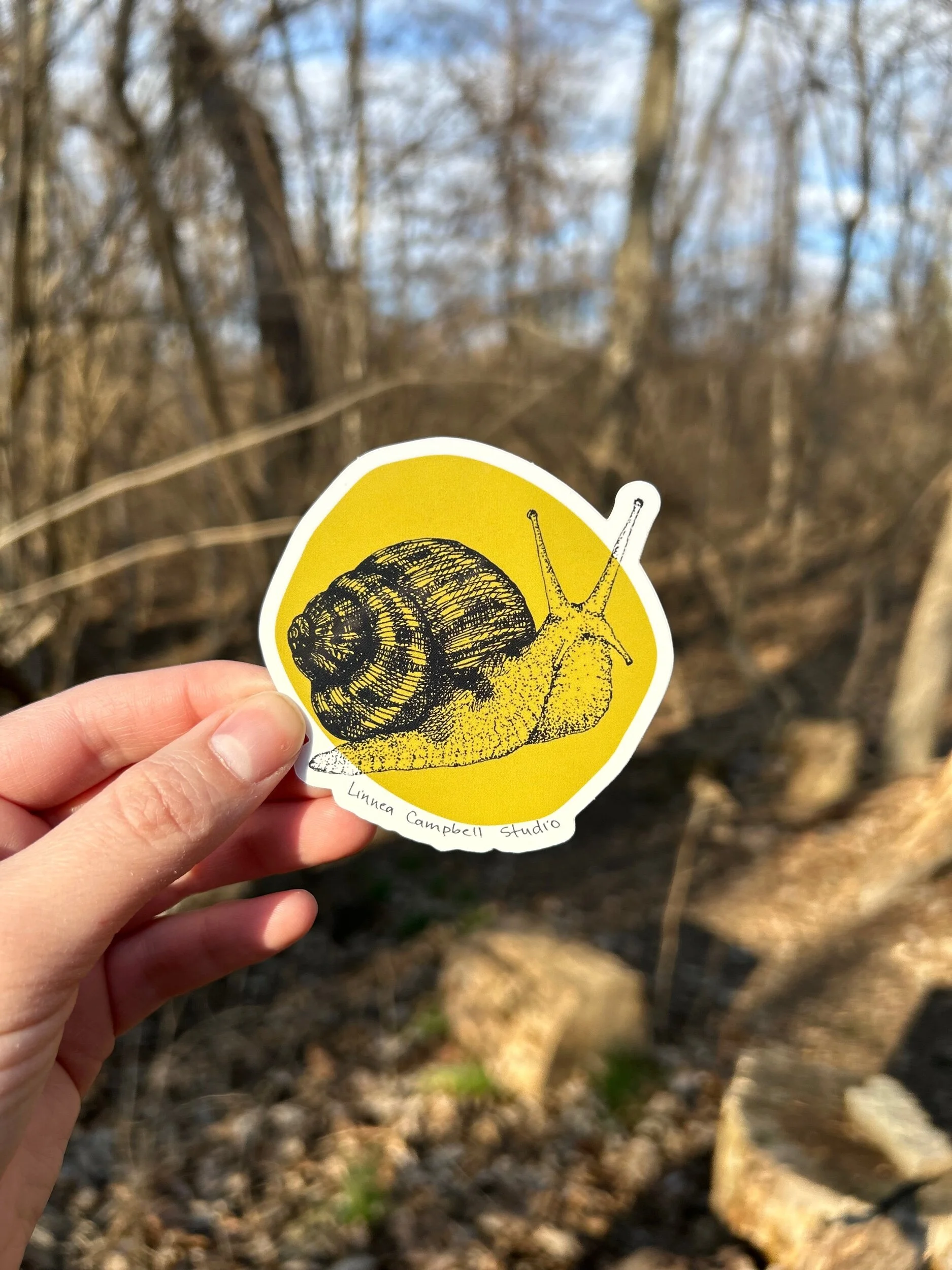 FFA0BC4C-2501-4323-AE8A-A895A864892D