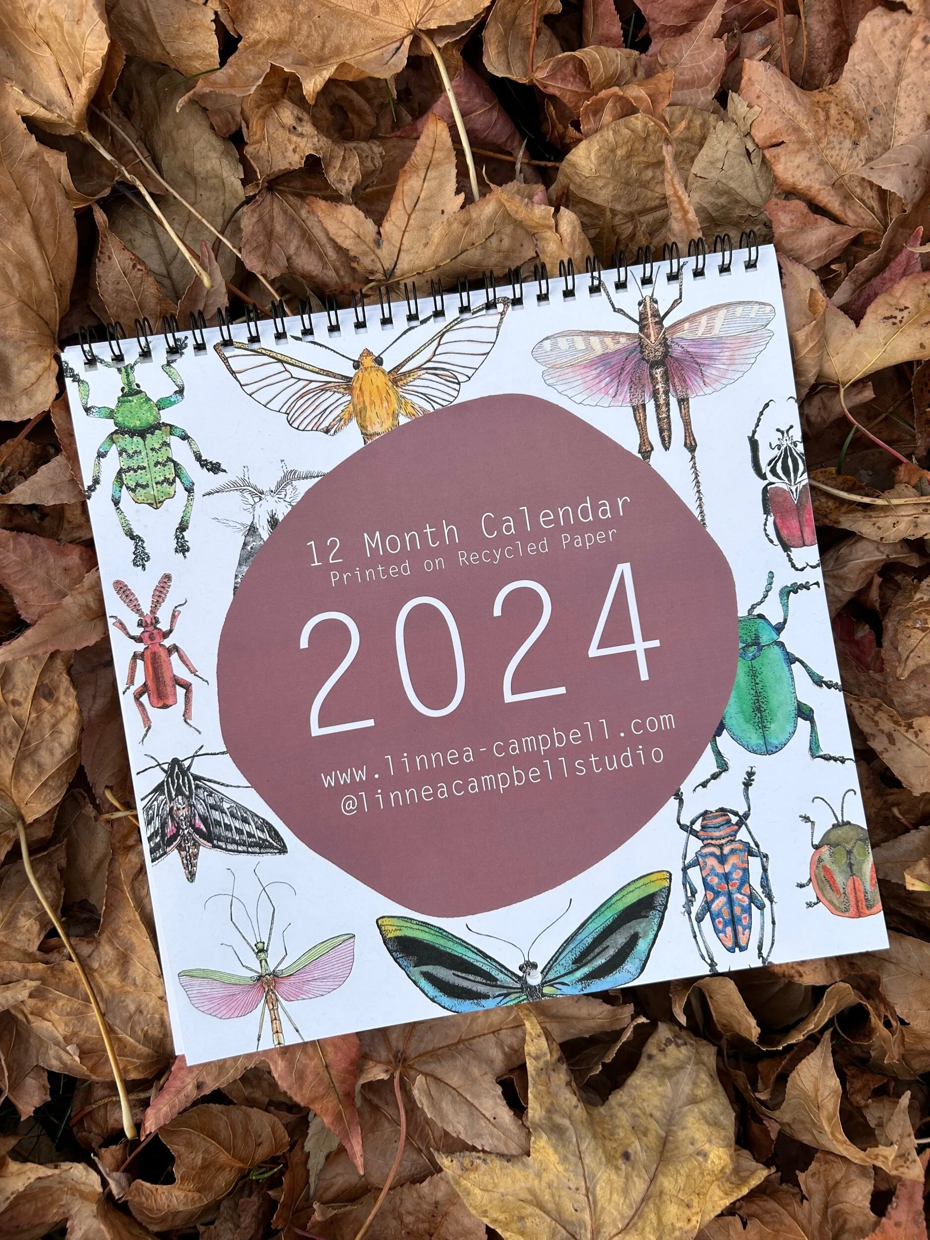 9D6B74EF-7CA2-4737-B213-2FA40803DA73