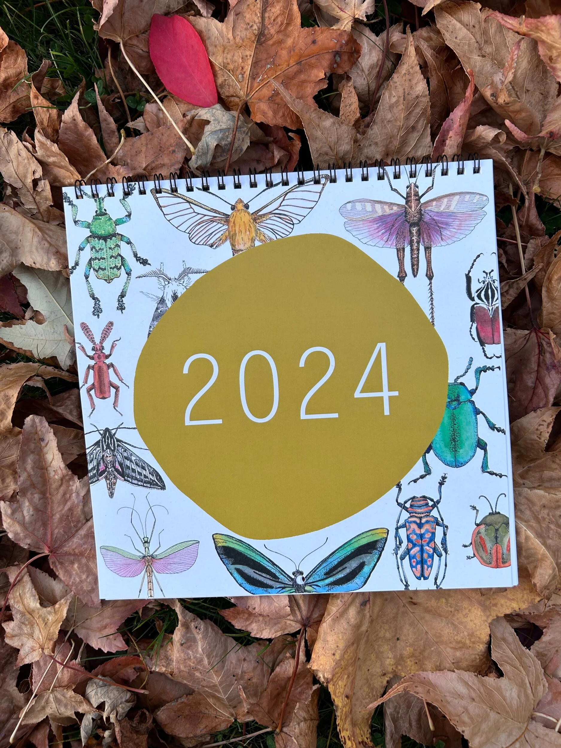 8A562254-2A70-4ED8-AA72-DED44D624843