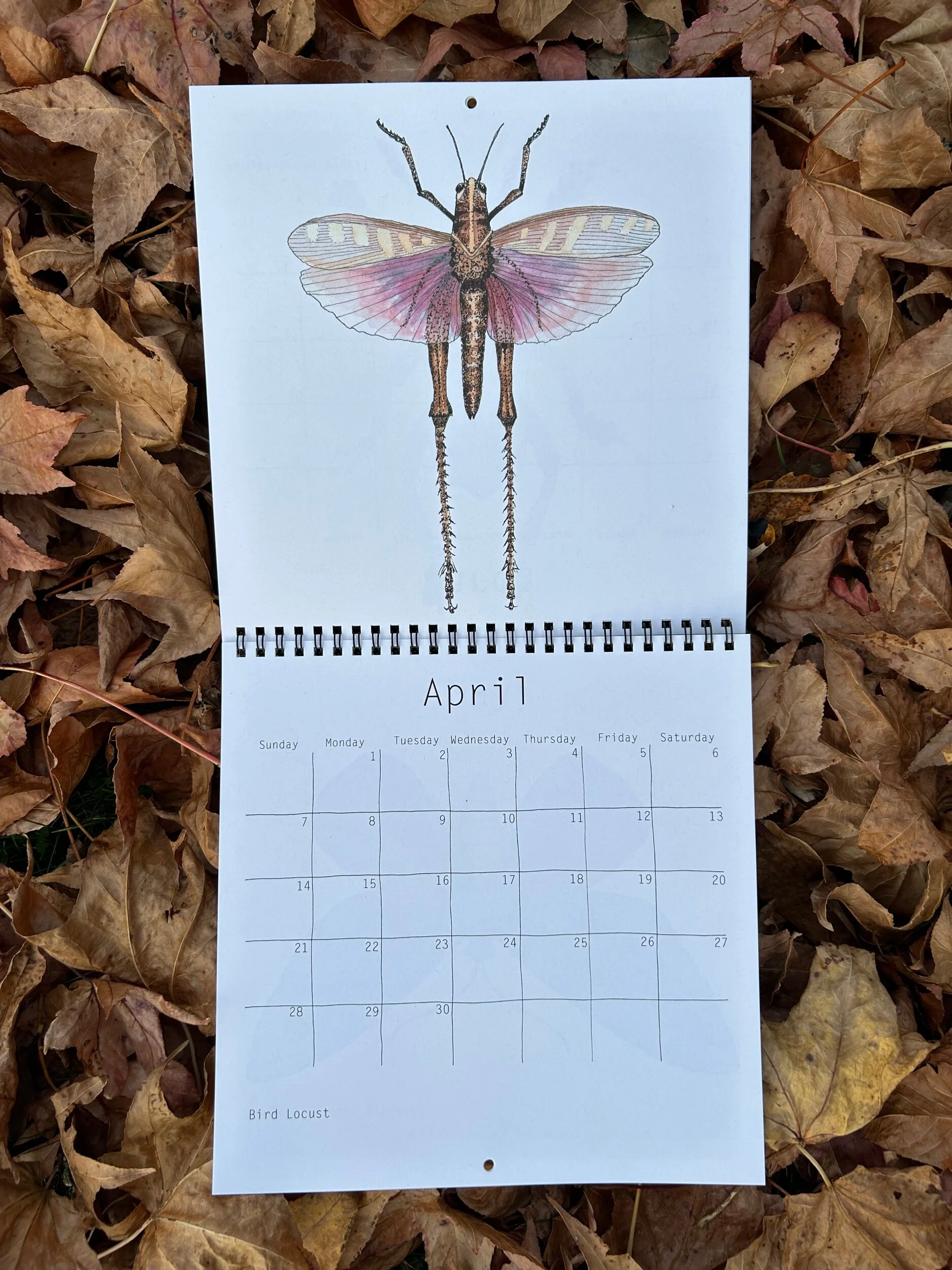 90E85517-D5DA-410A-A38E-5CD821A376D2