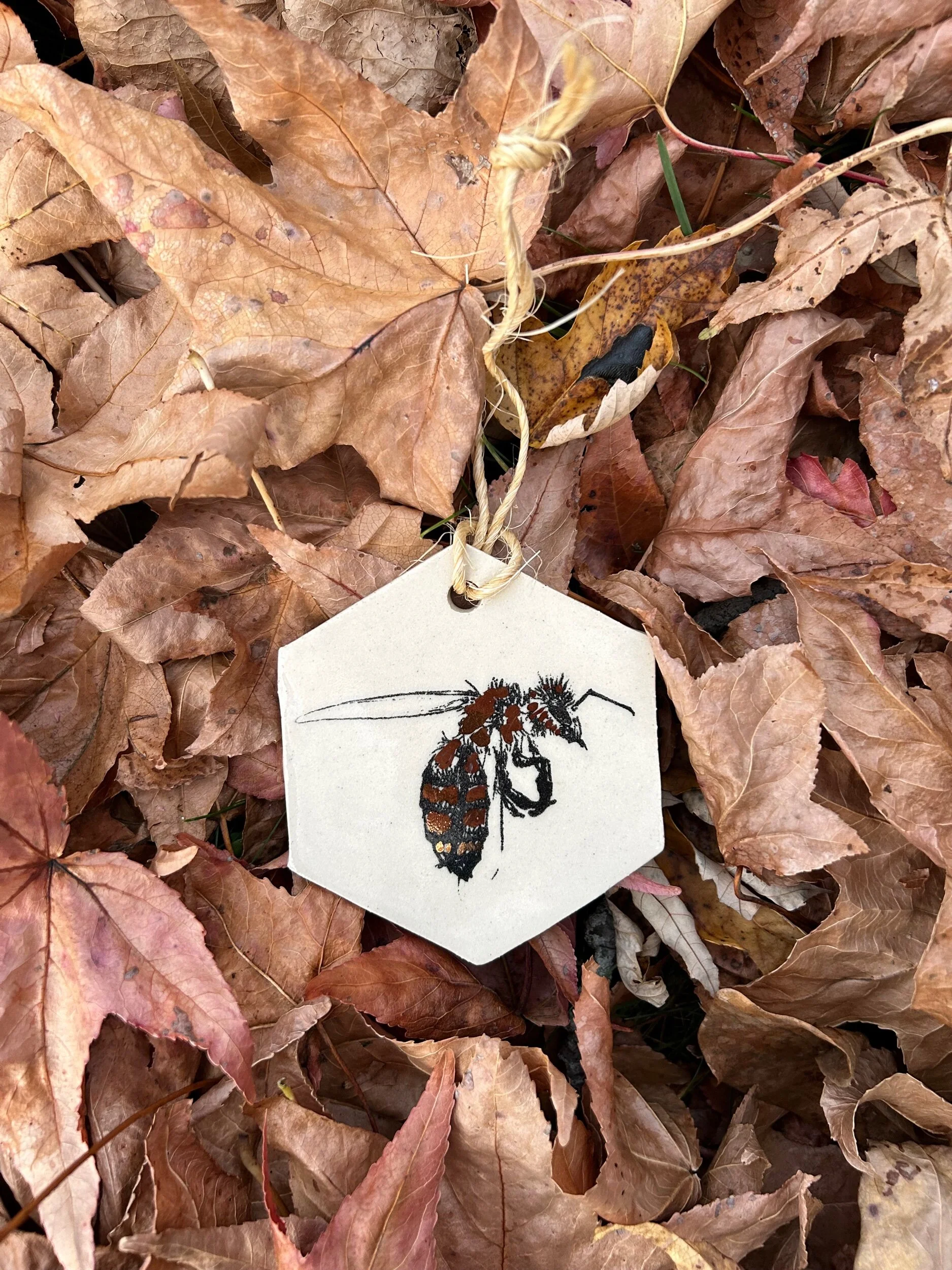 101E279F-536C-42ED-B65B-324D7F7986B2