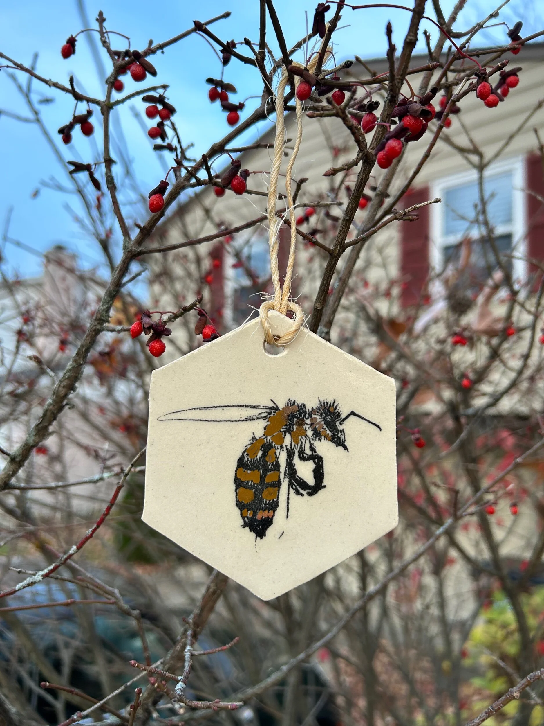 F8D8F068-738F-47A8-B0C4-6114555DF14D